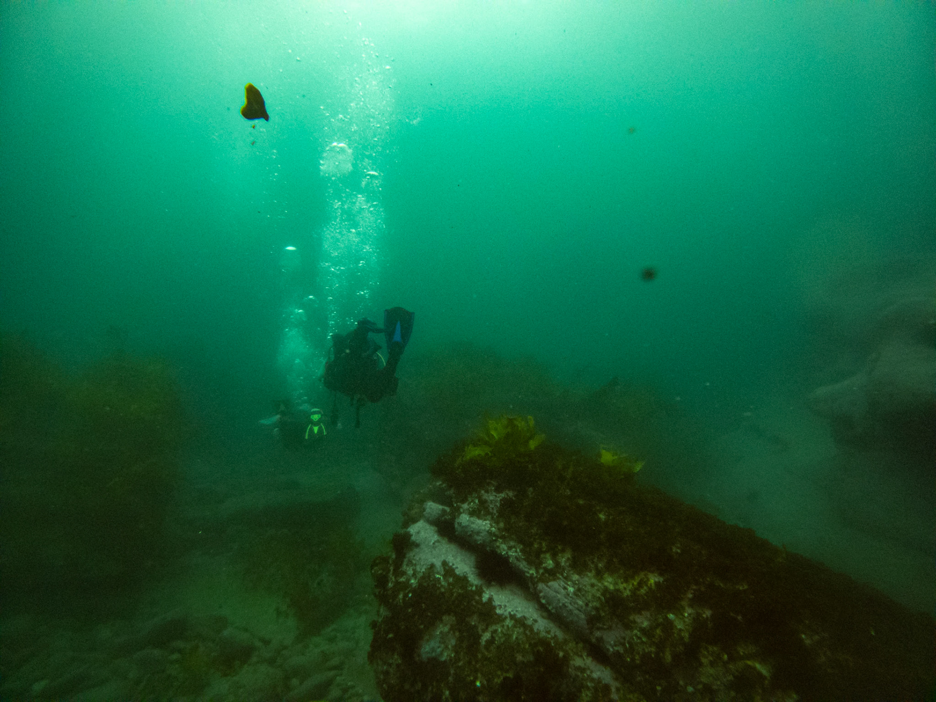 C:\DCIM\100GOPRO\GOPR0492.GPR