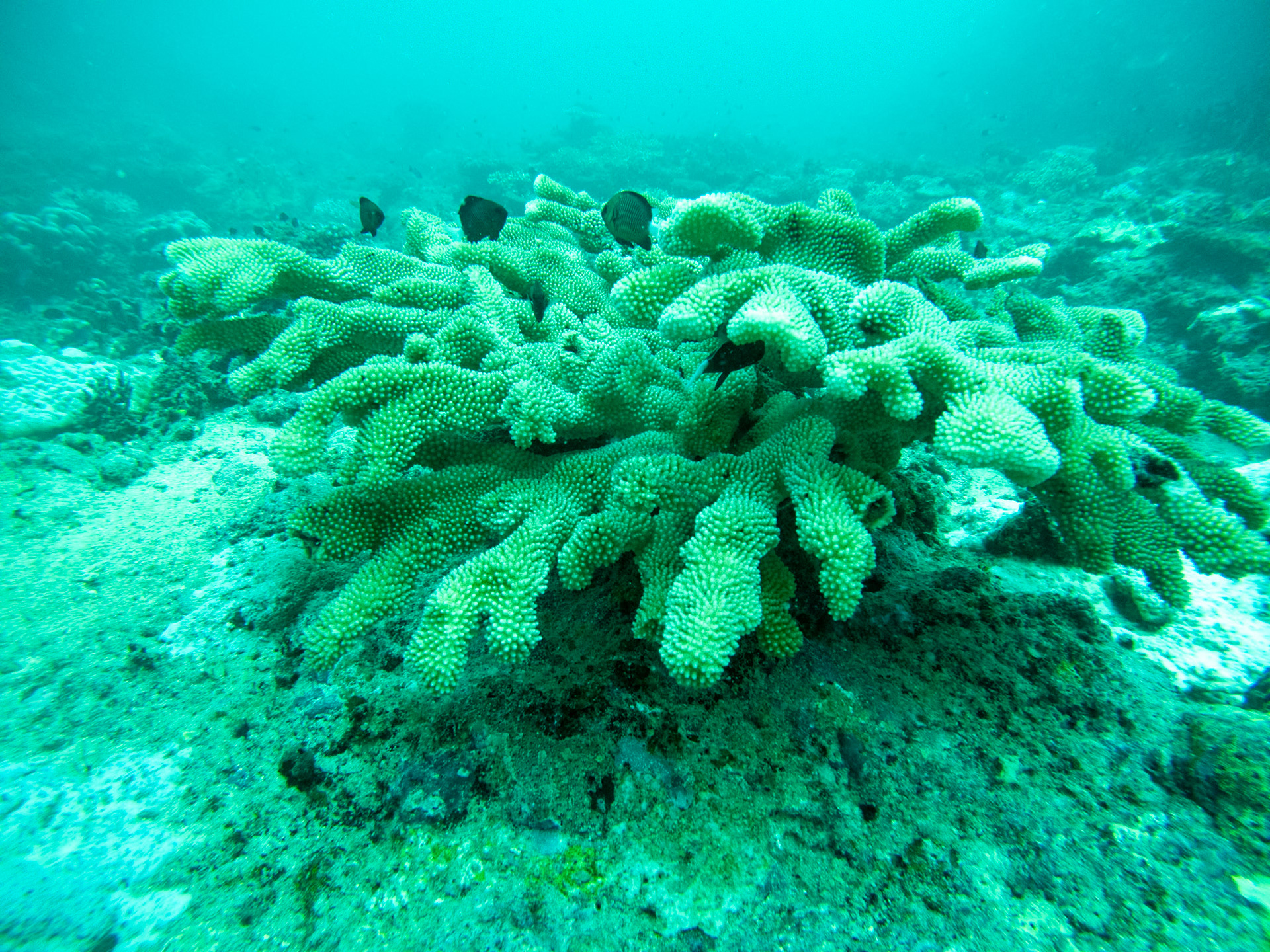 C:\DCIM\100GOPRO\GOPR0359.GPR