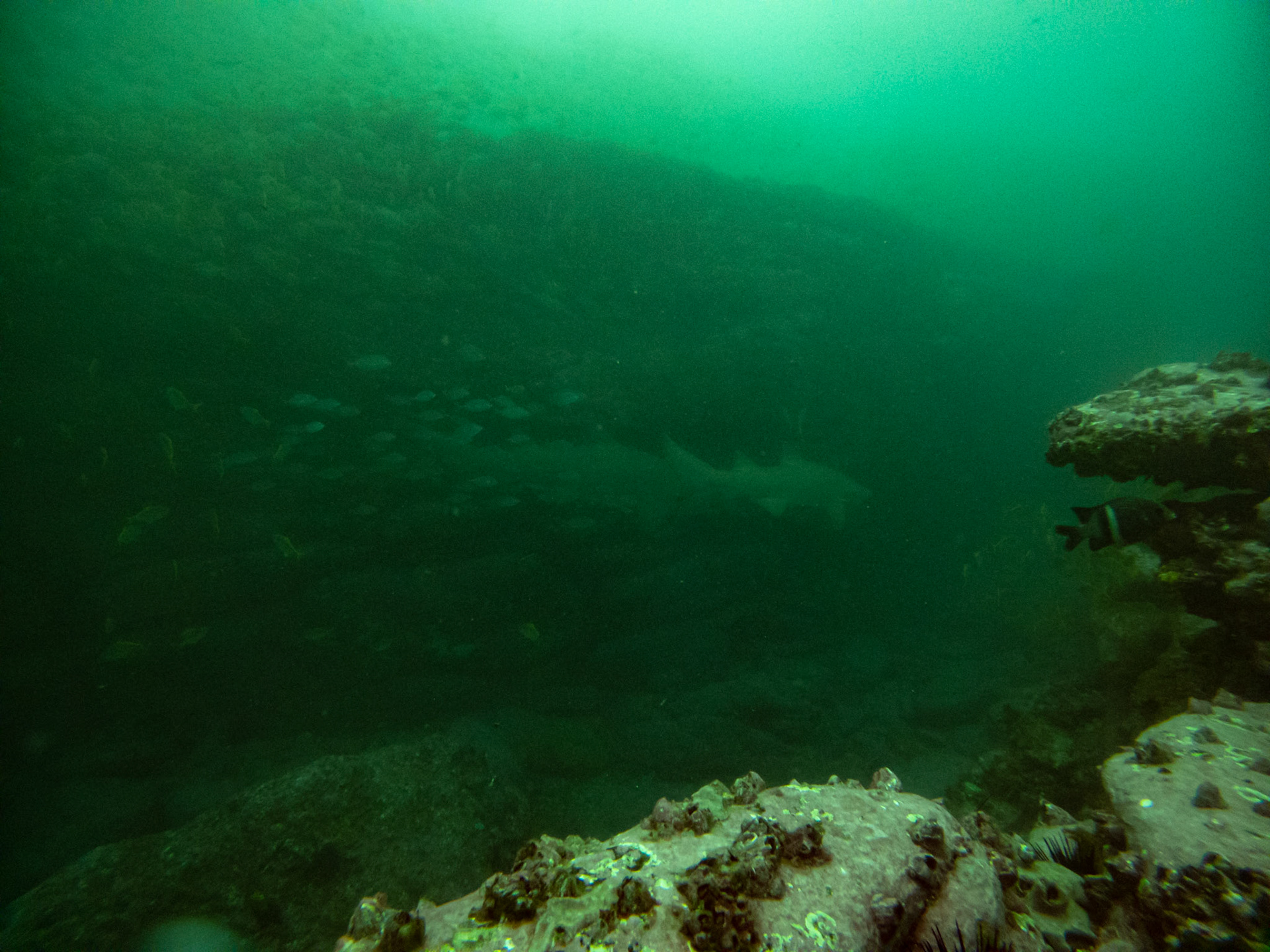 C:\DCIM\100GOPRO\GOPR0434.GPR