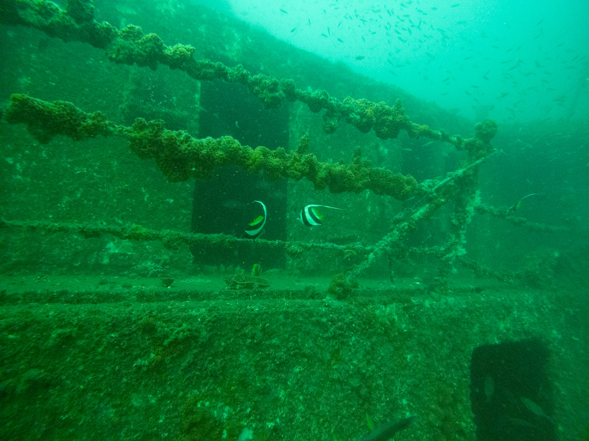 C:\DCIM\100GOPRO\GOPR0513.GPR