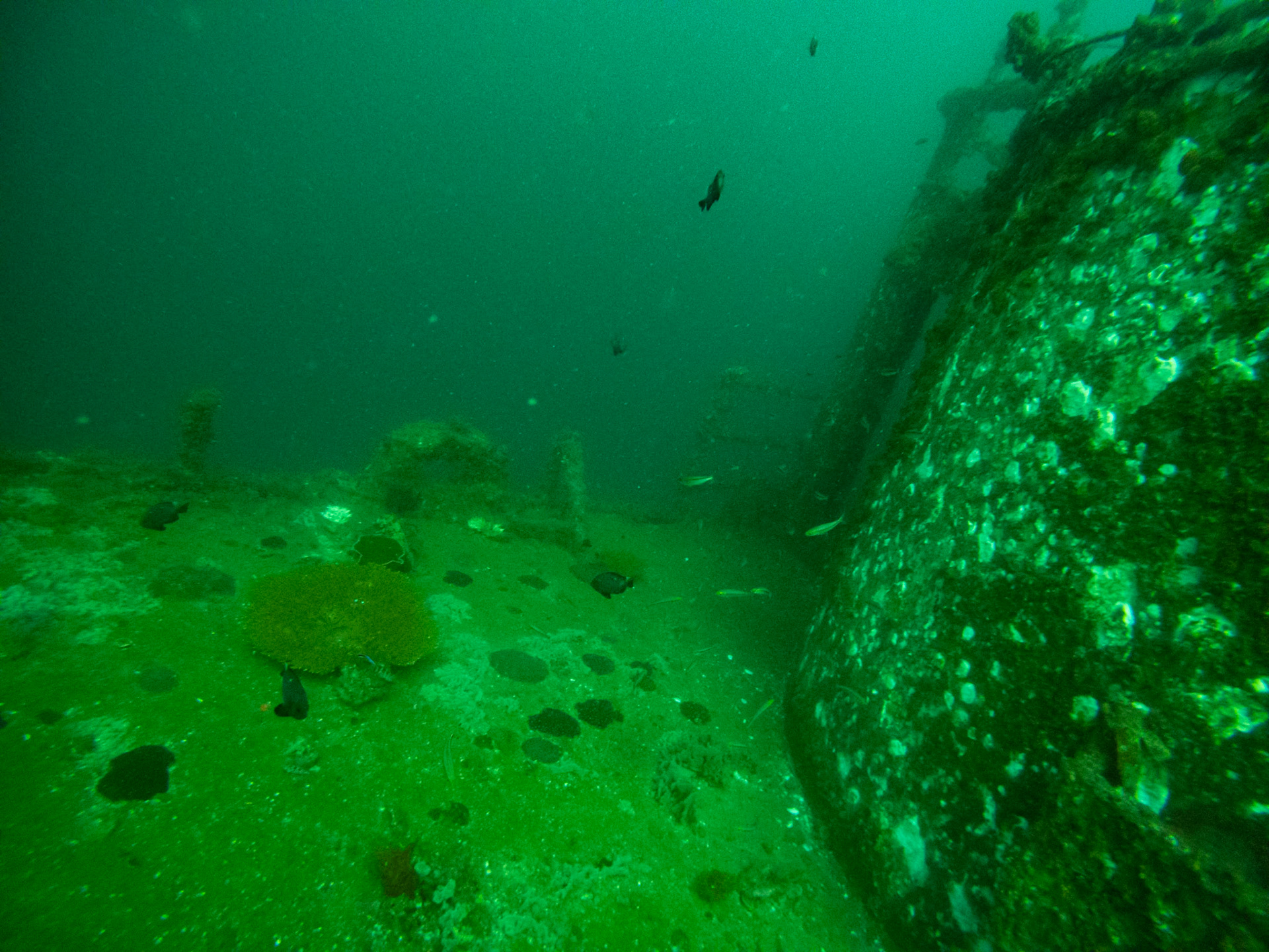 C:\DCIM\100GOPRO\GOPR0603.GPR