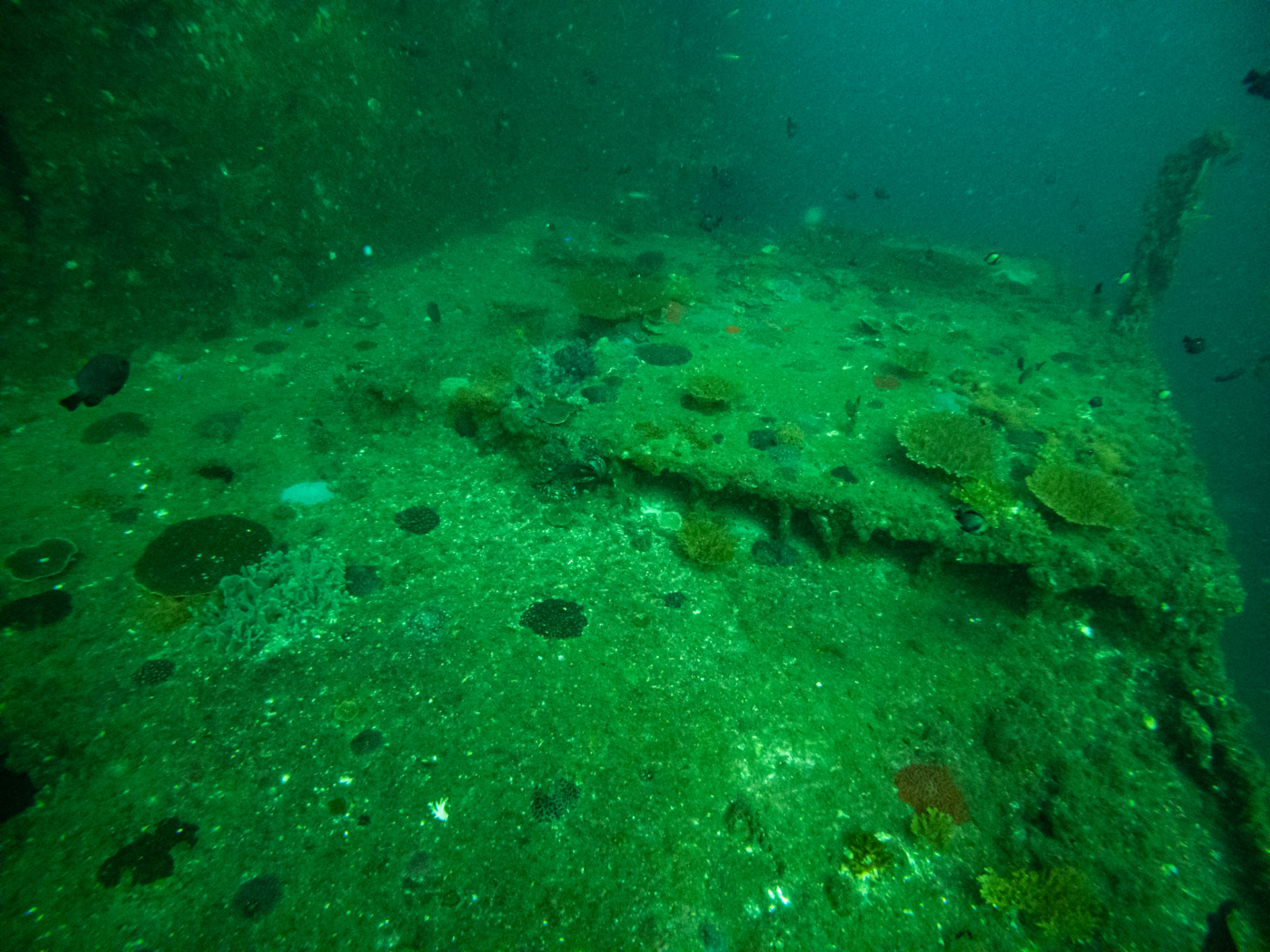 C:\DCIM\100GOPRO\GOPR0520.GPR