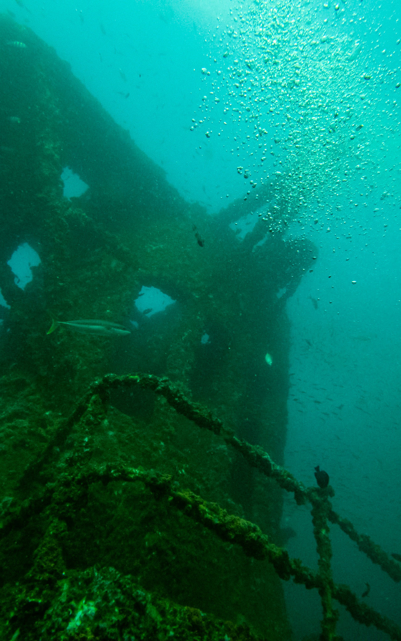 C:\DCIM\100GOPRO\GOPR0556.GPR