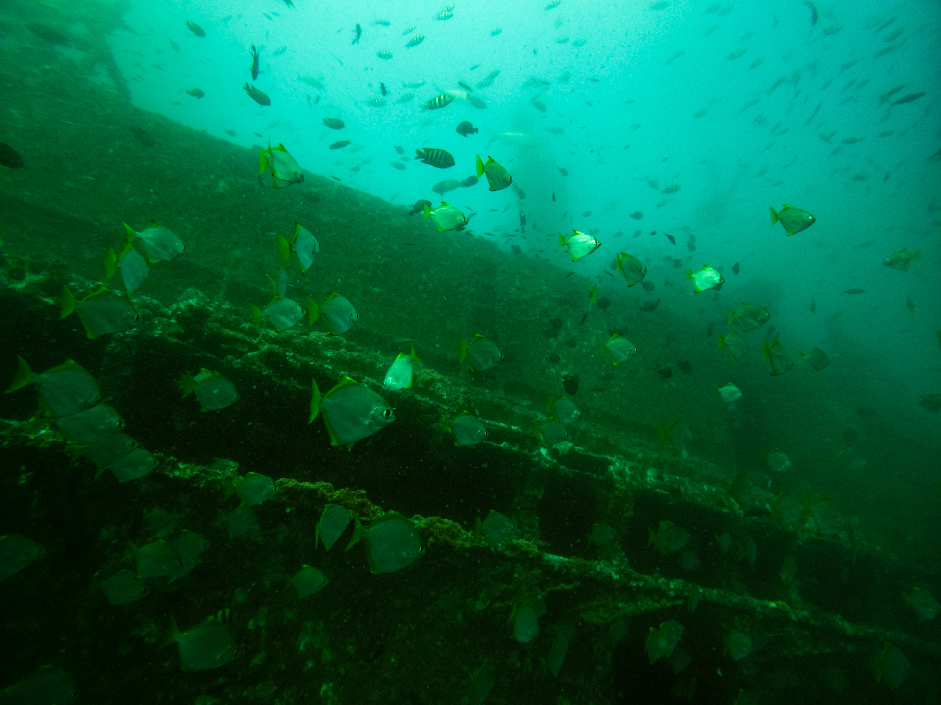 C:\DCIM\100GOPRO\GOPR0525.GPR