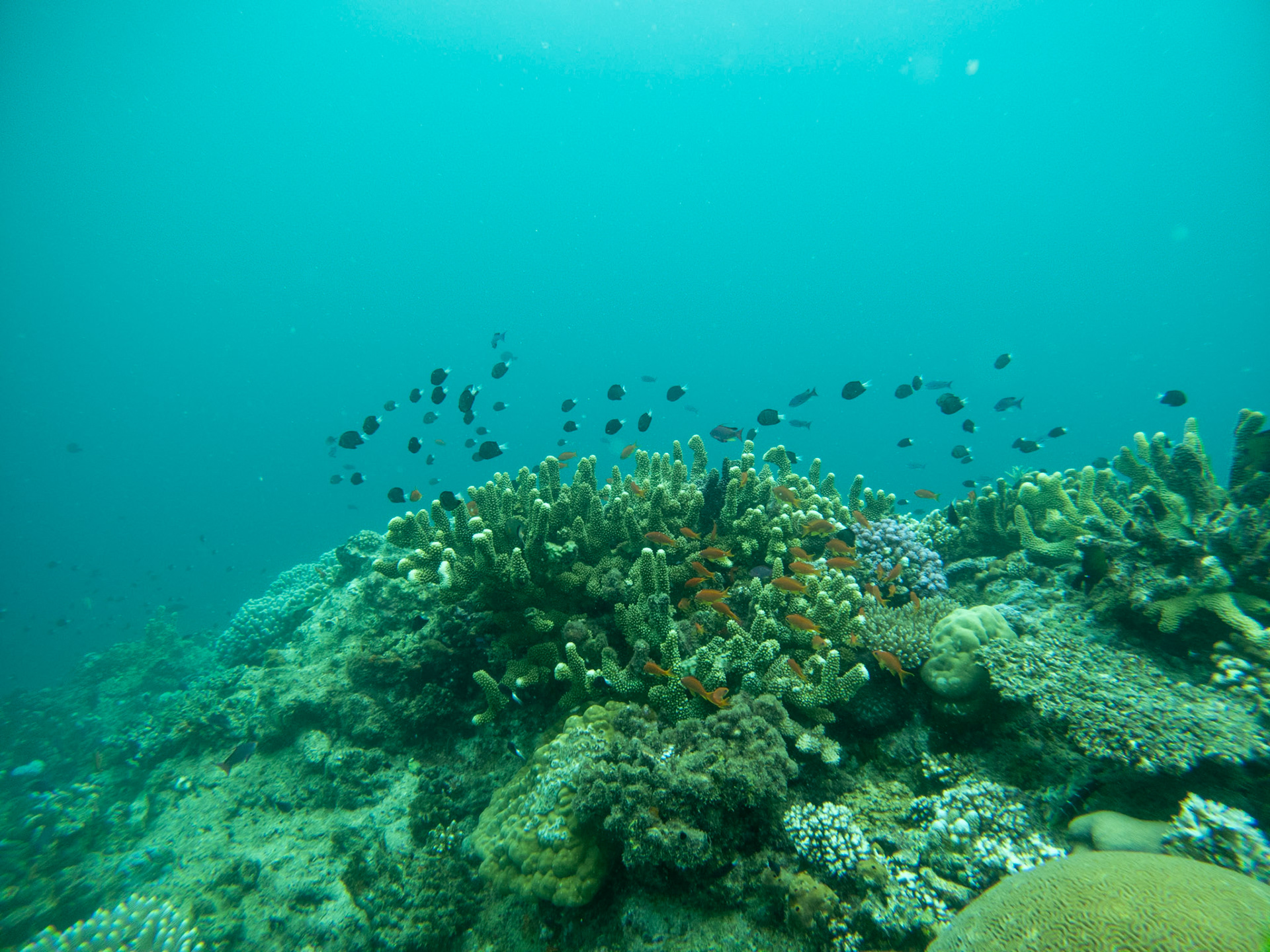 C:\DCIM\100GOPRO\GOPR0388.GPR