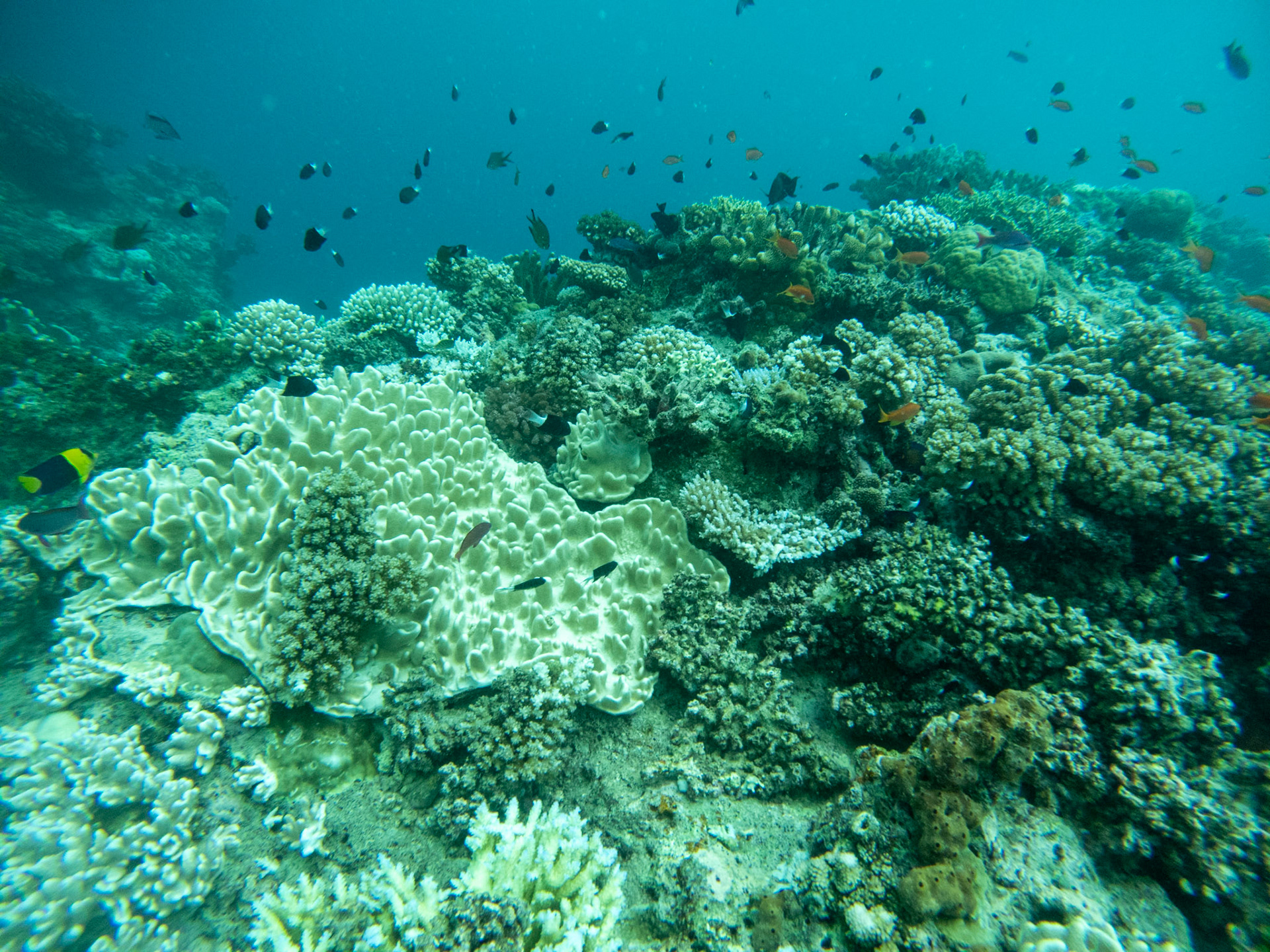 C:\DCIM\100GOPRO\GOPR0332.GPR