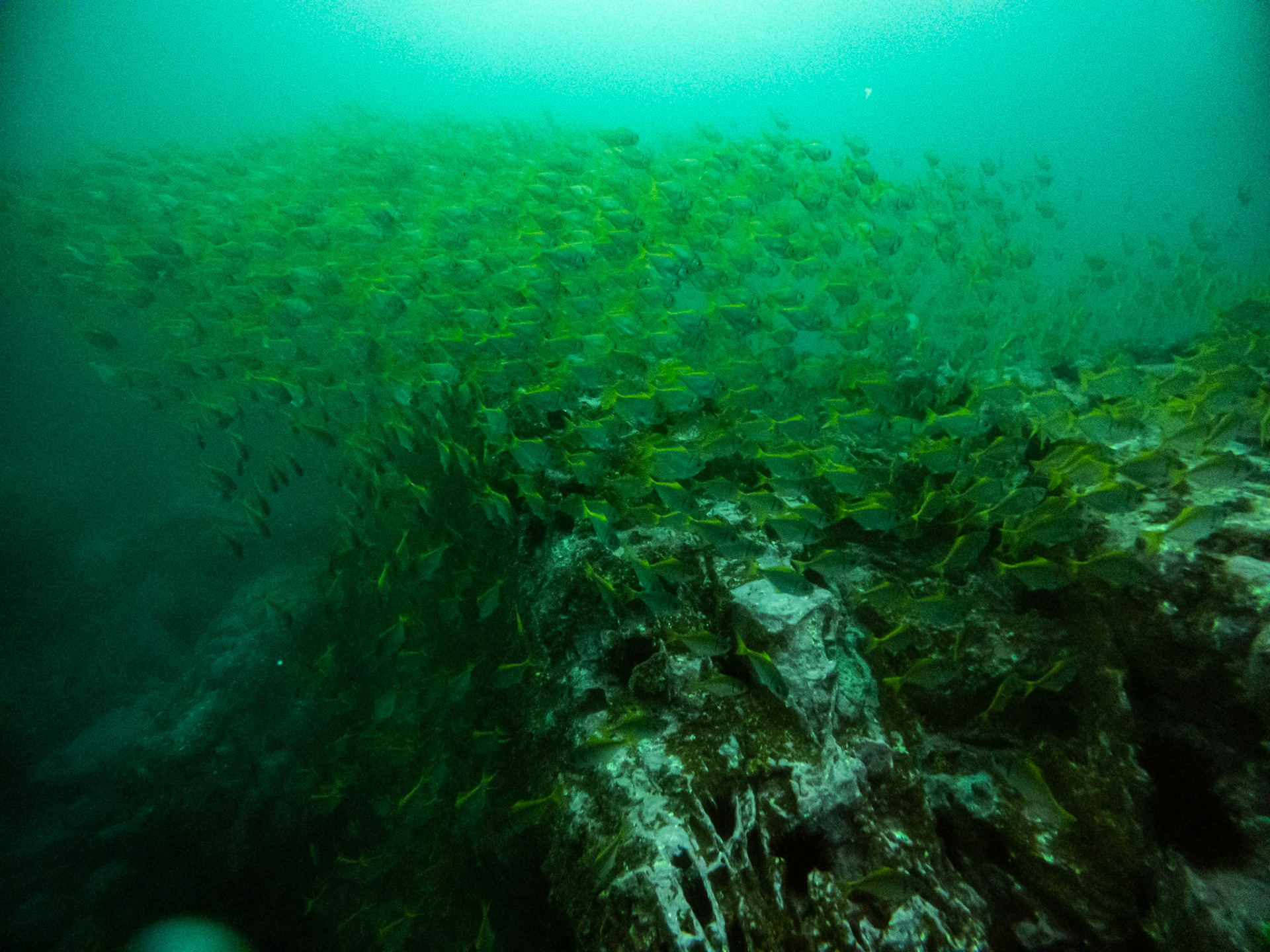 C:\DCIM\100GOPRO\GOPR0421.GPR