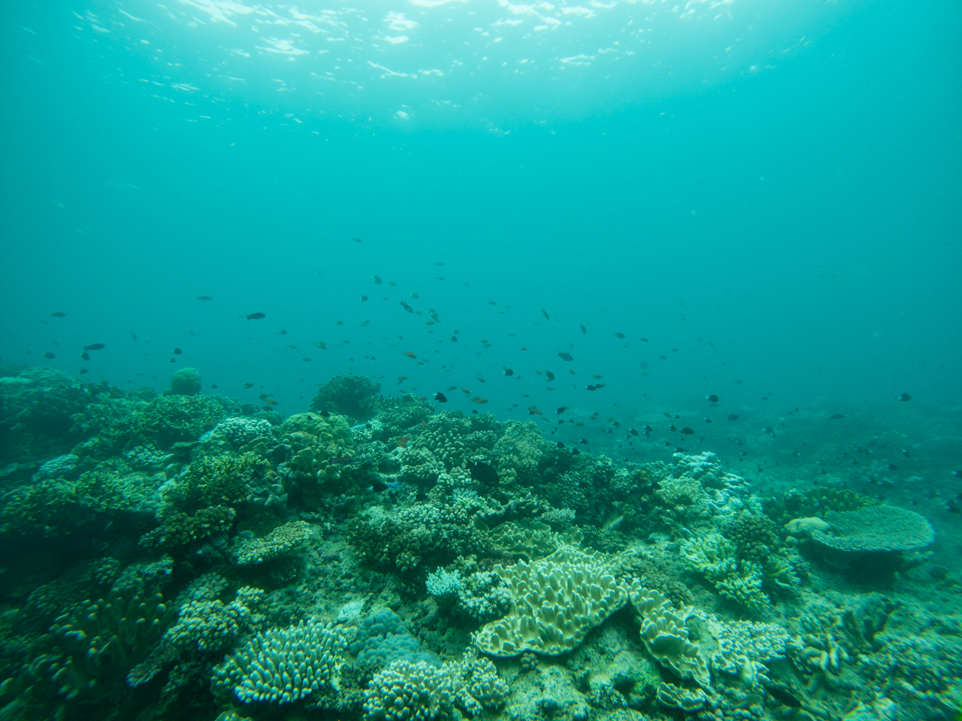 C:\DCIM\100GOPRO\GOPR0385.GPR