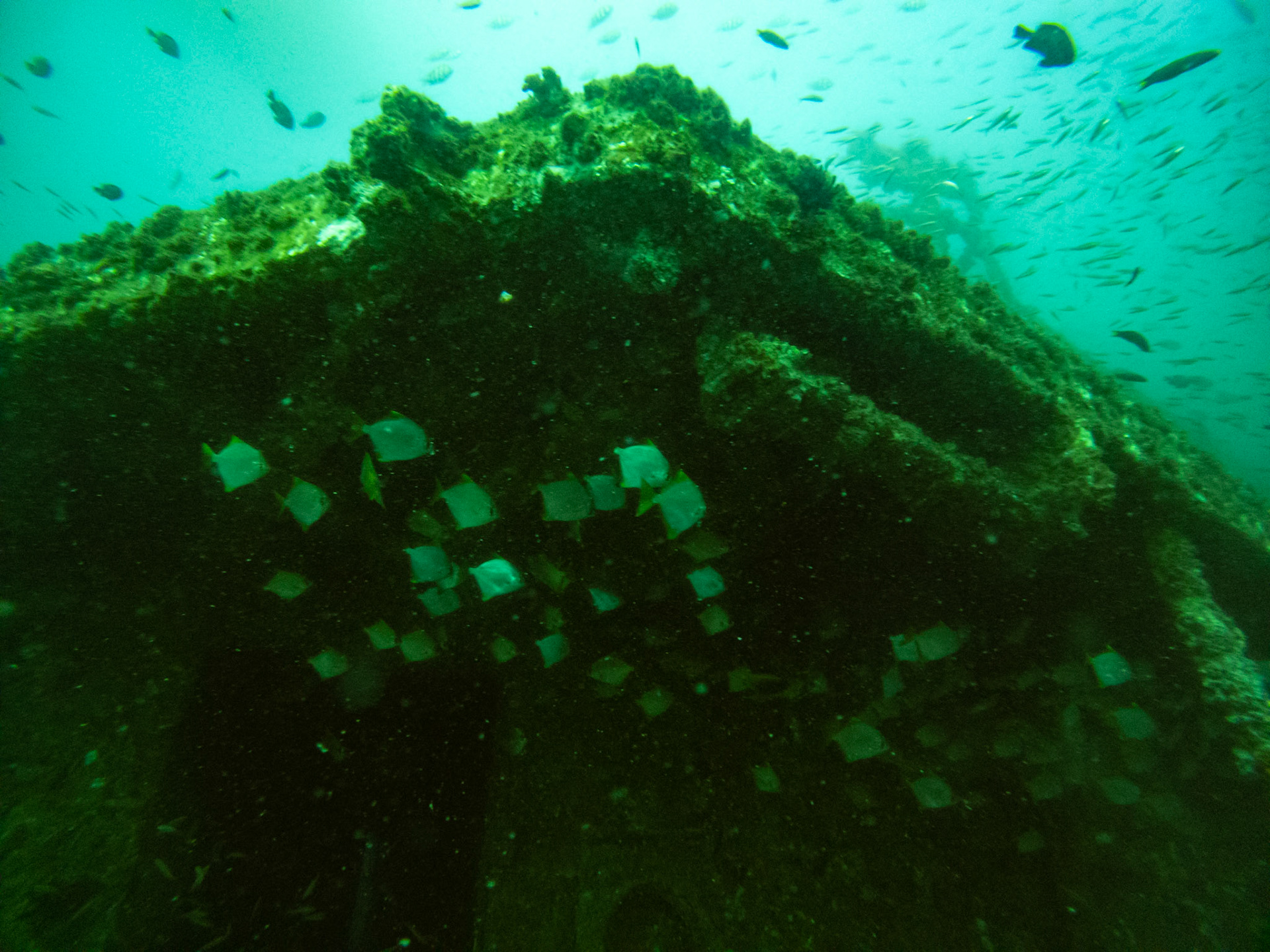 C:\DCIM\100GOPRO\GOPR0526.GPR