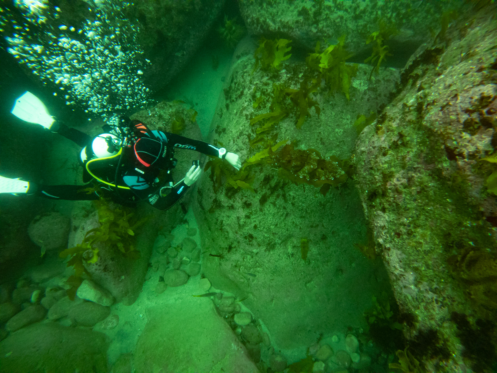 C:\DCIM\100GOPRO\GOPR0466.GPR