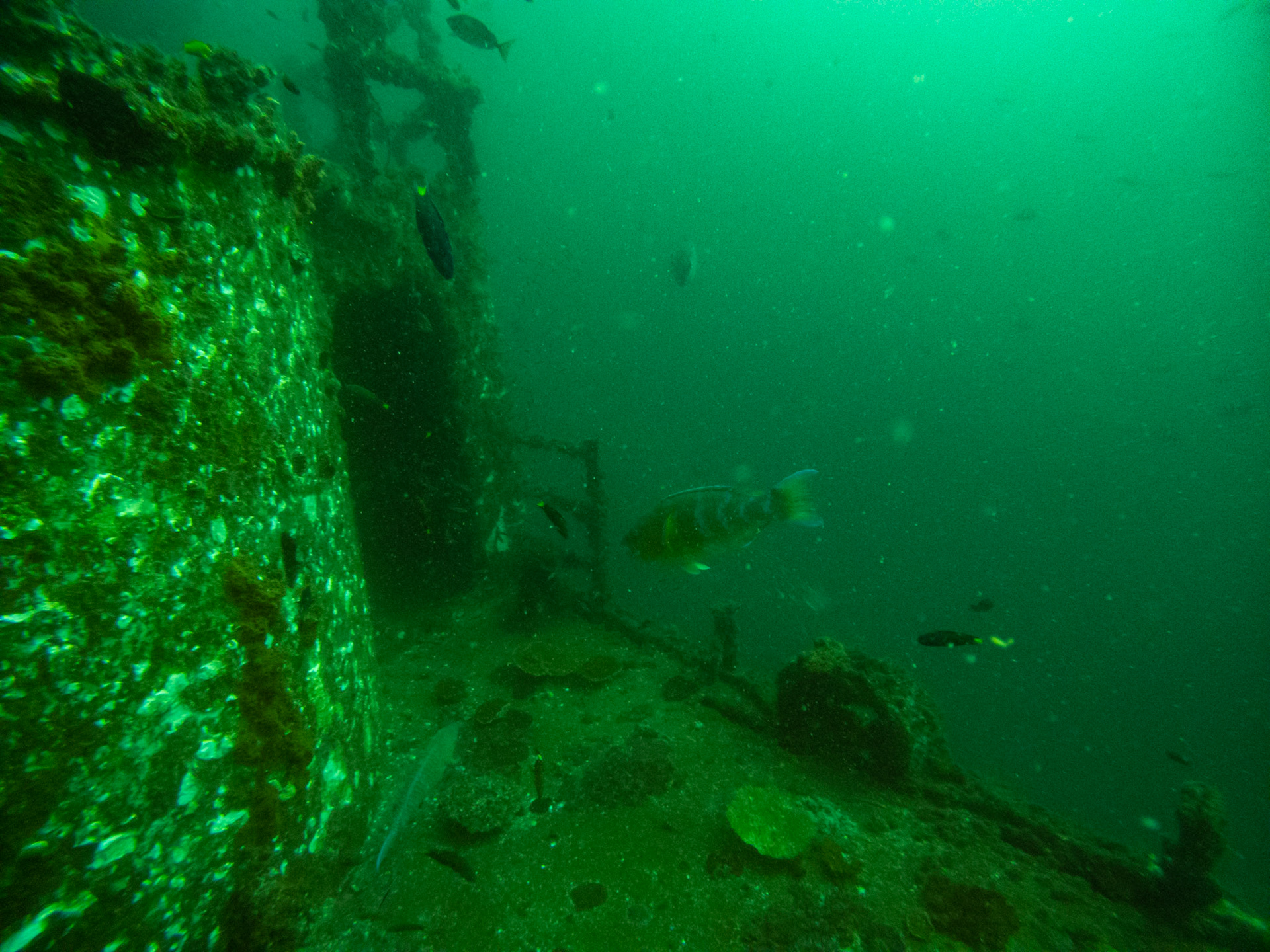 C:\DCIM\100GOPRO\GOPR0601.GPR