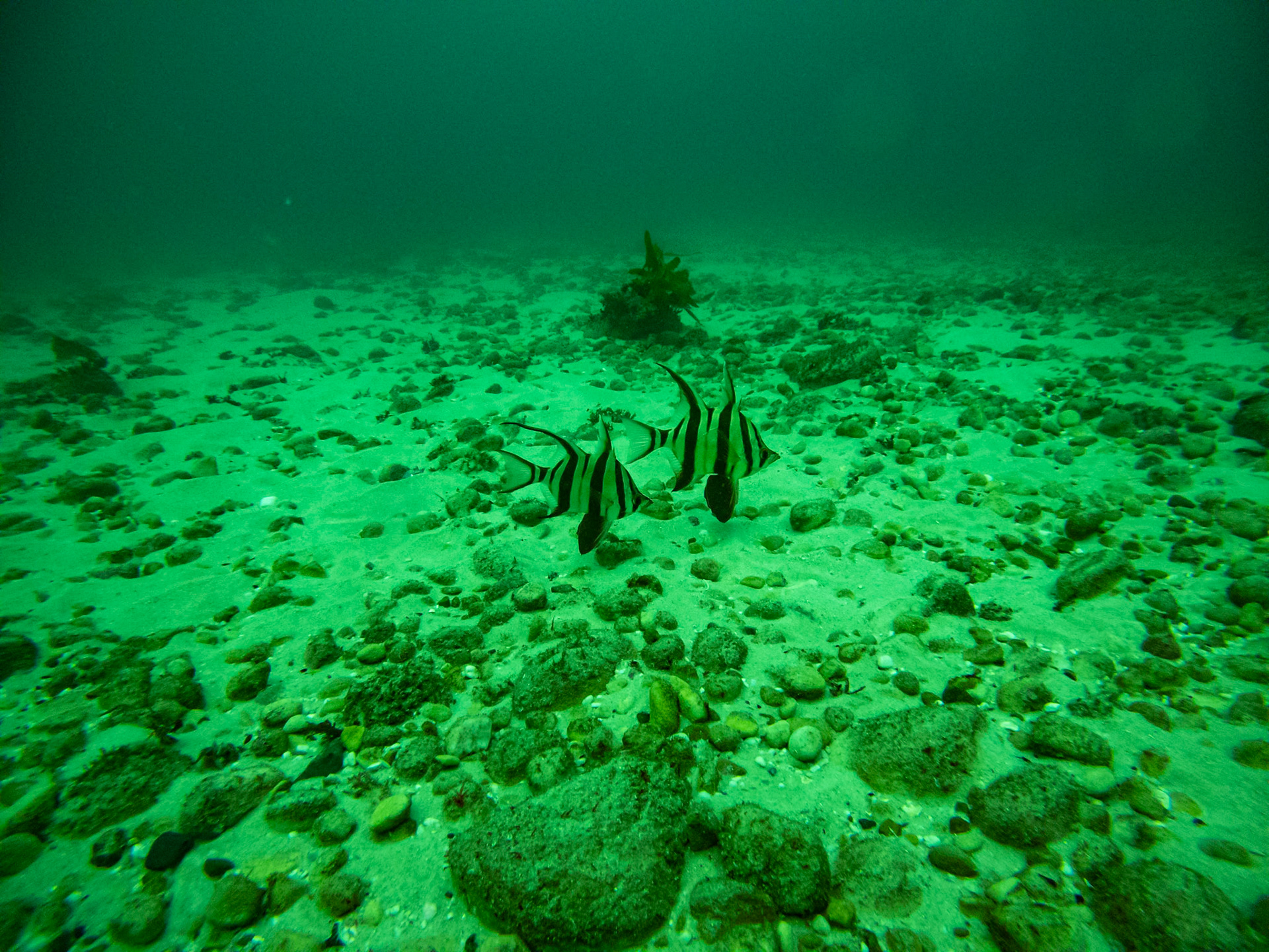 C:\DCIM\100GOPRO\GOPR0456.GPR