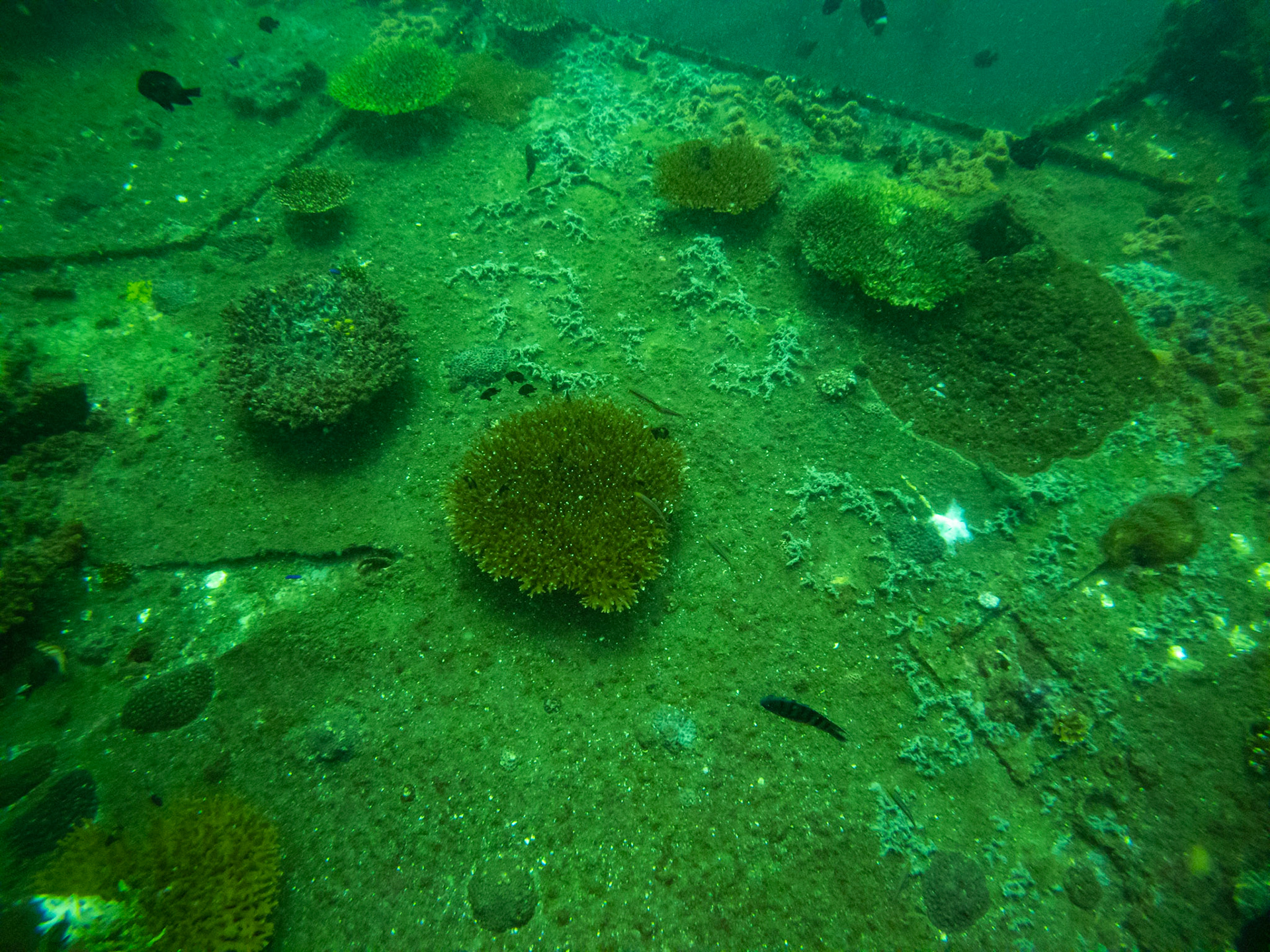 C:\DCIM\100GOPRO\GOPR0595.GPR