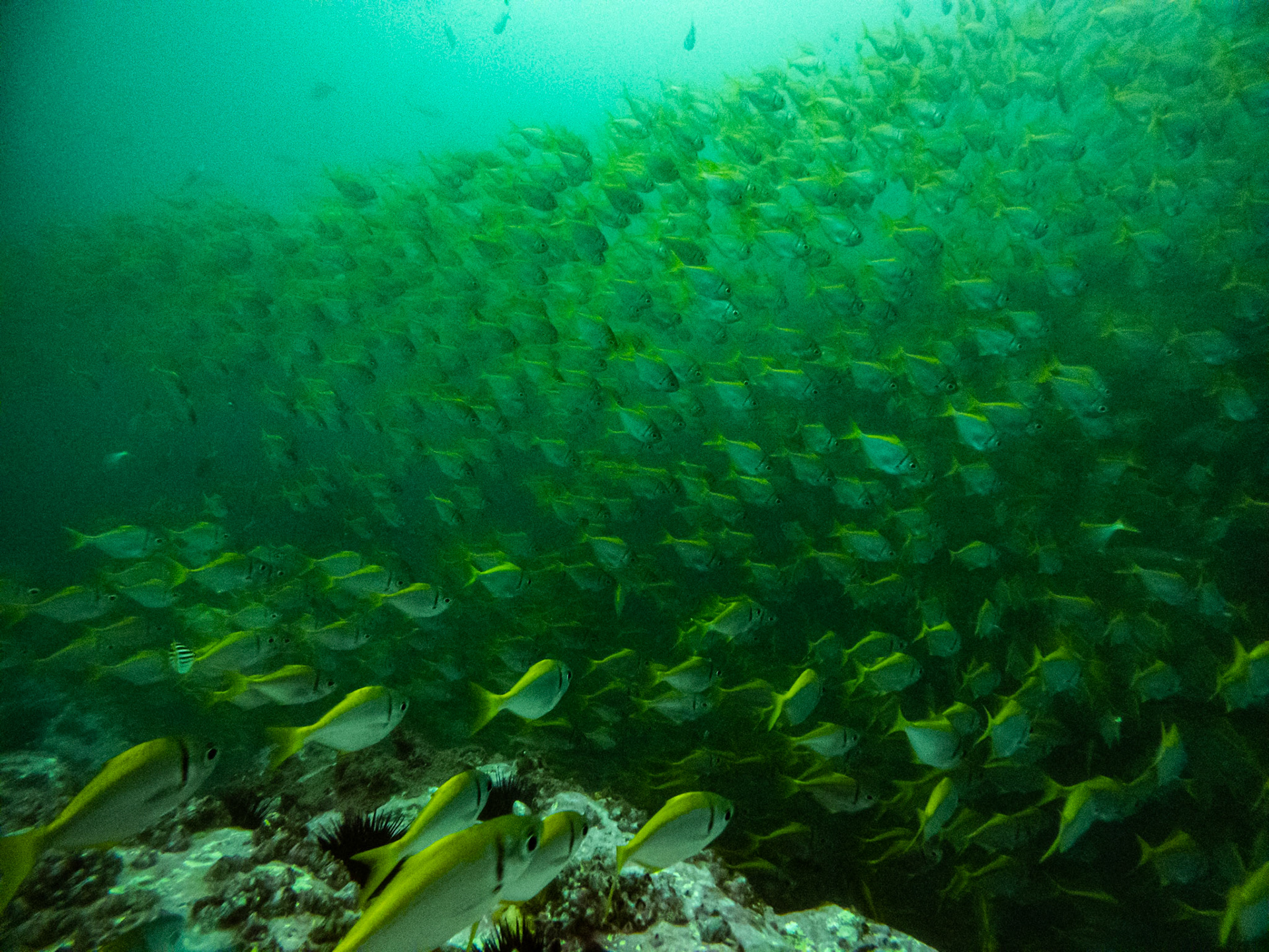 C:\DCIM\100GOPRO\GOPR0426.GPR