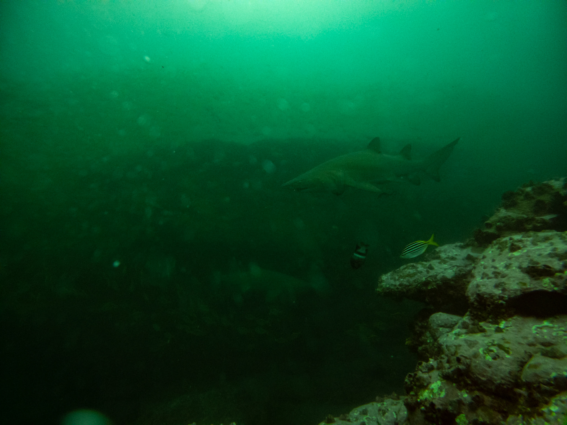 C:\DCIM\100GOPRO\GOPR0431.GPR