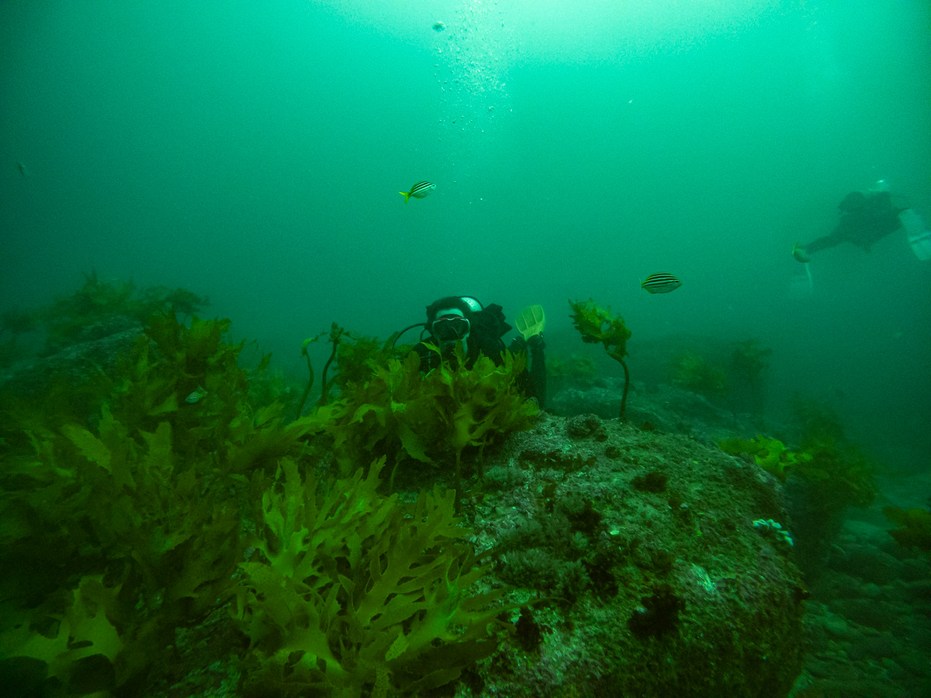 C:\DCIM\100GOPRO\GOPR0481.GPR