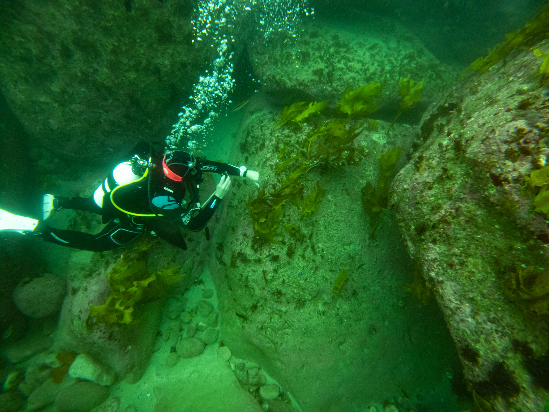 C:\DCIM\100GOPRO\GOPR0464.GPR