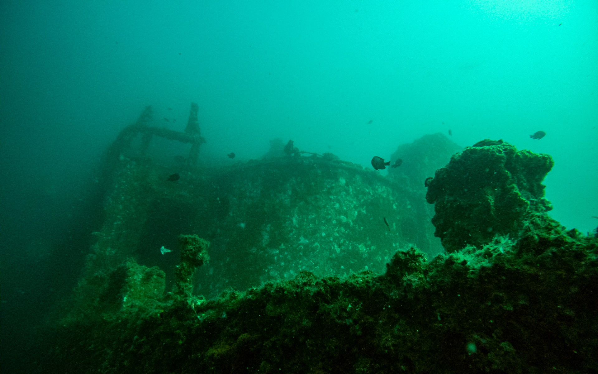 C:\DCIM\100GOPRO\GOPR0539.GPR