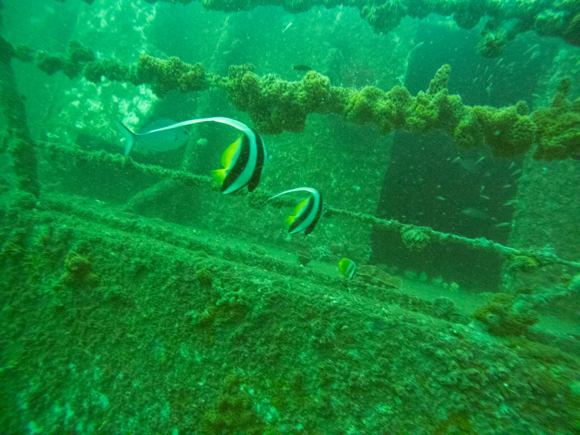 C:\DCIM\100GOPRO\GOPR0512.GPR