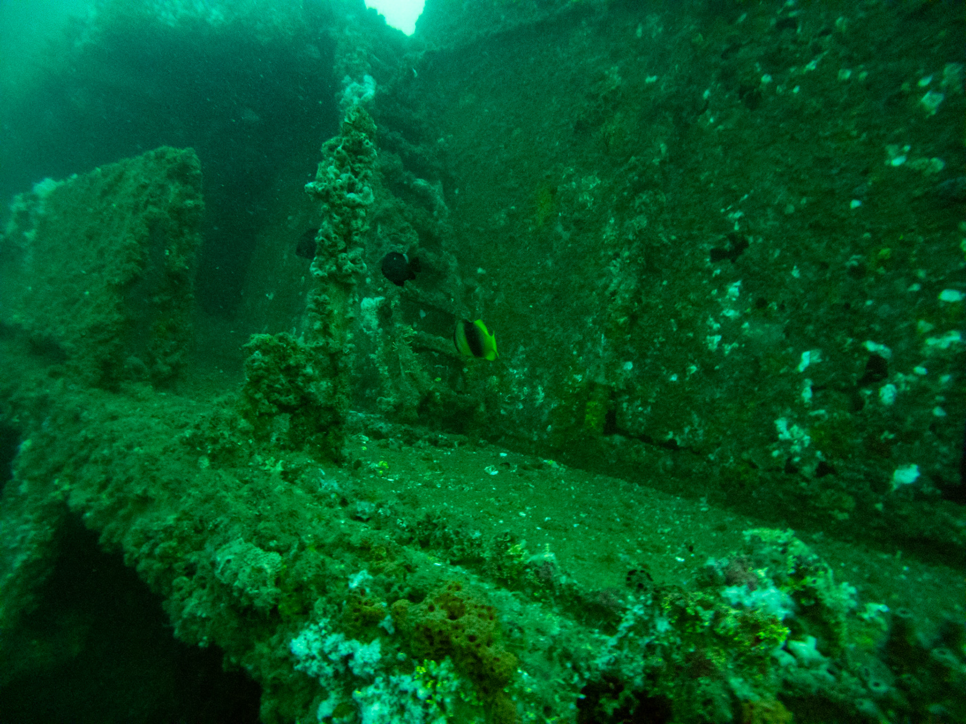 C:\DCIM\100GOPRO\GOPR0543.GPR