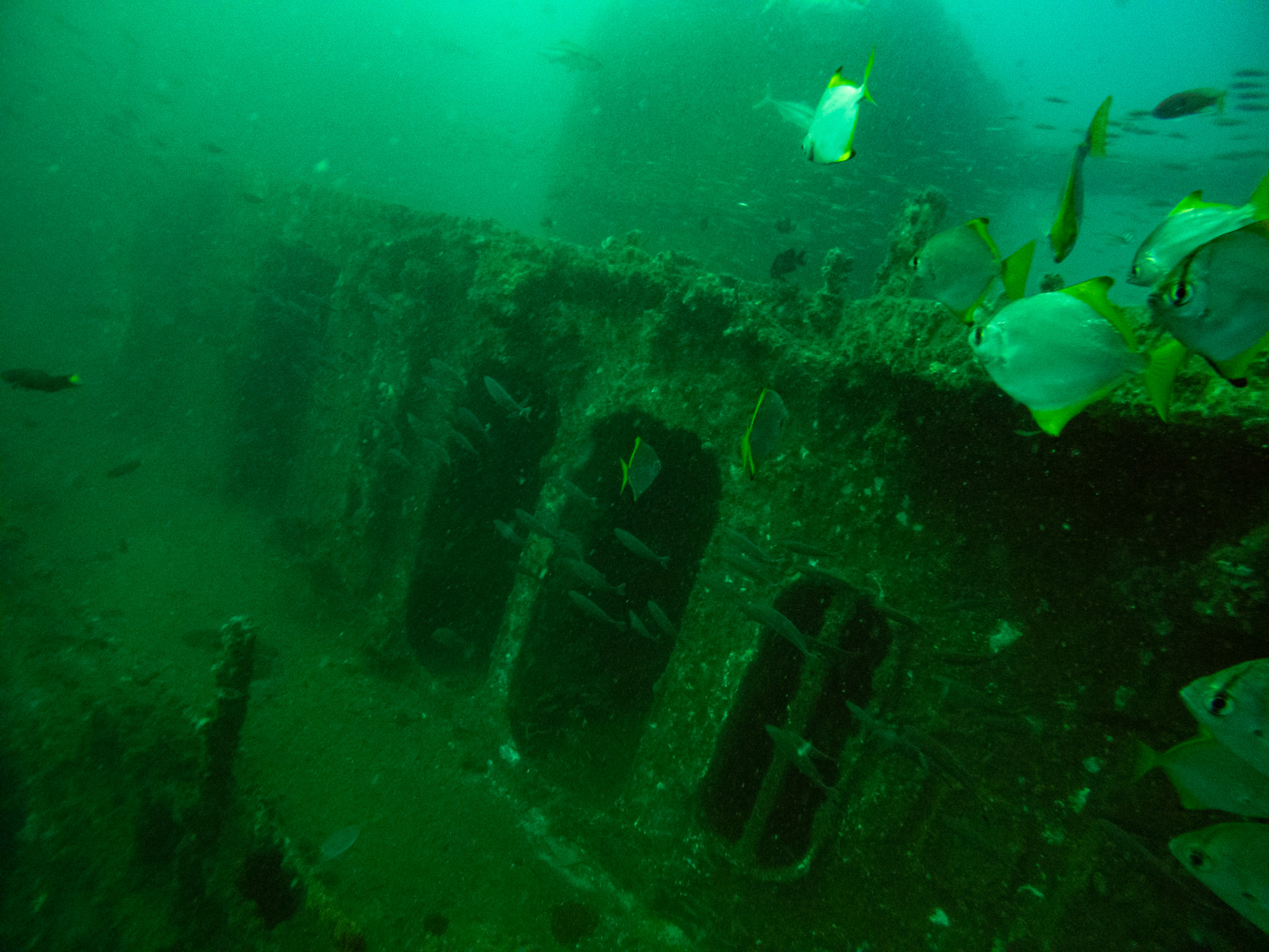 C:\DCIM\100GOPRO\GOPR0511.GPR