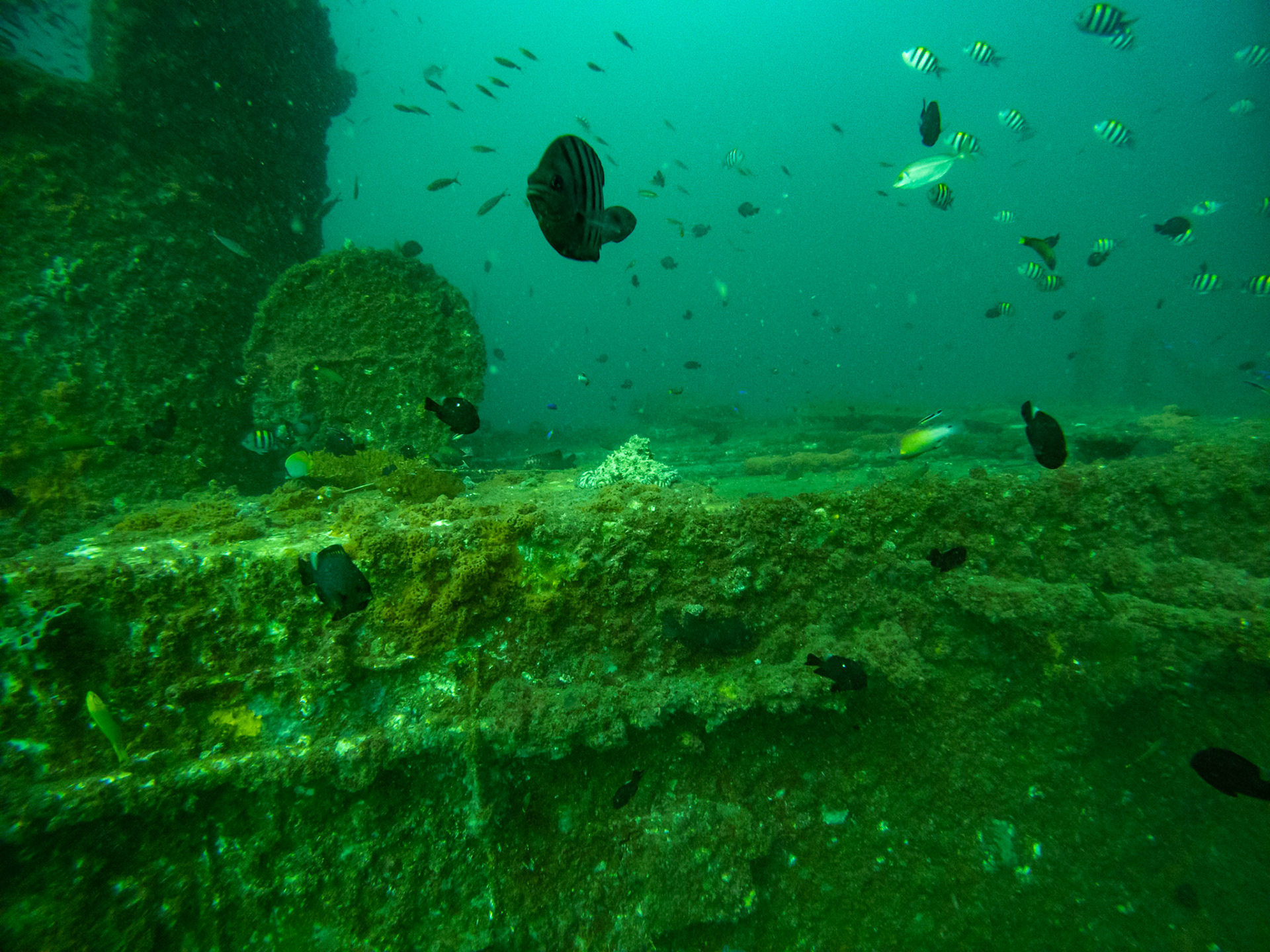 C:\DCIM\100GOPRO\GOPR0555.GPR