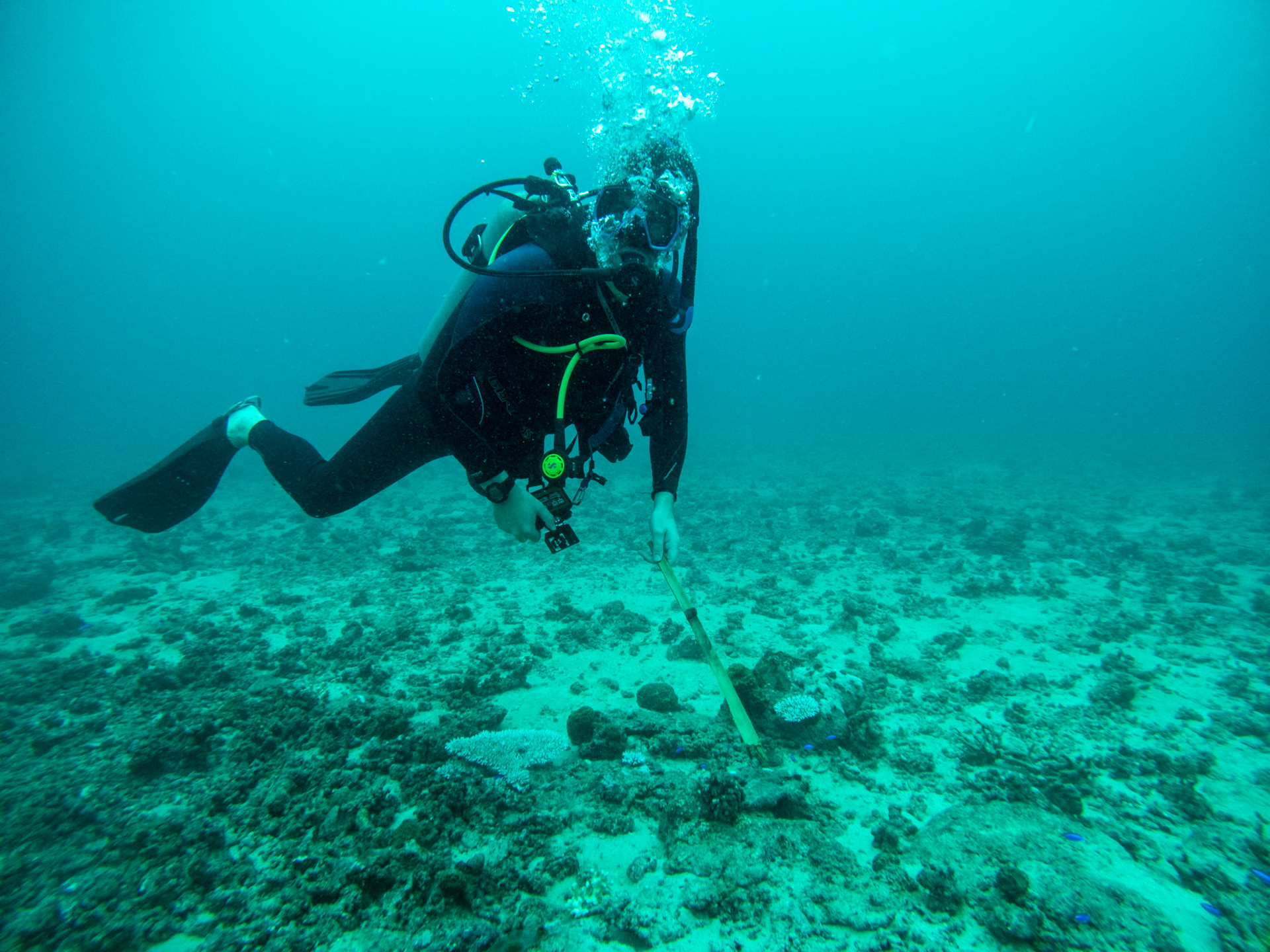 C:\DCIM\100GOPRO\GOPR0345.GPR