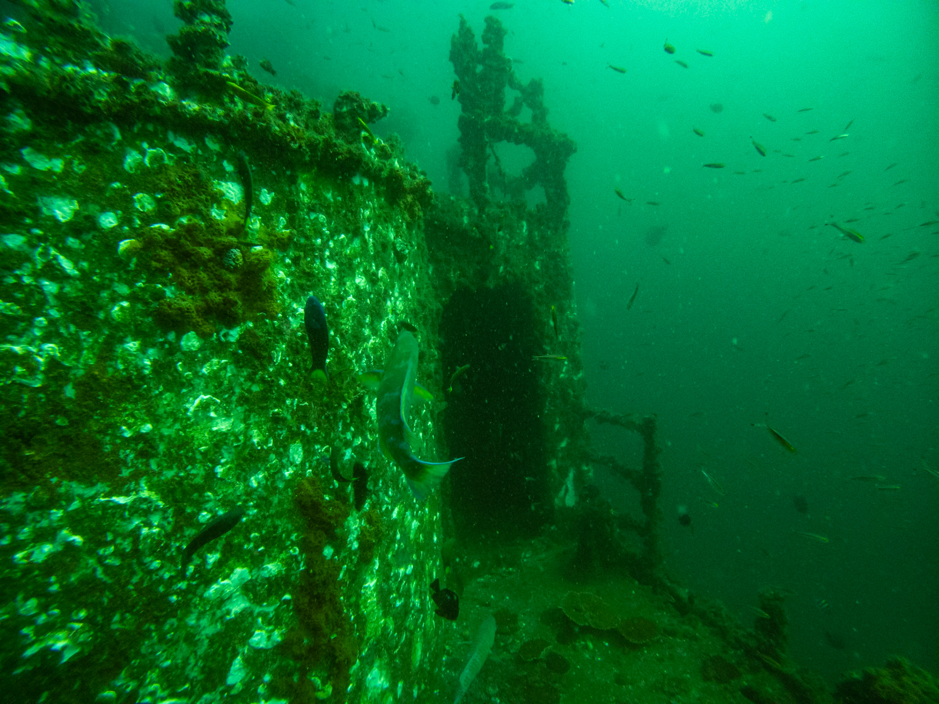 C:\DCIM\100GOPRO\GOPR0602.GPR