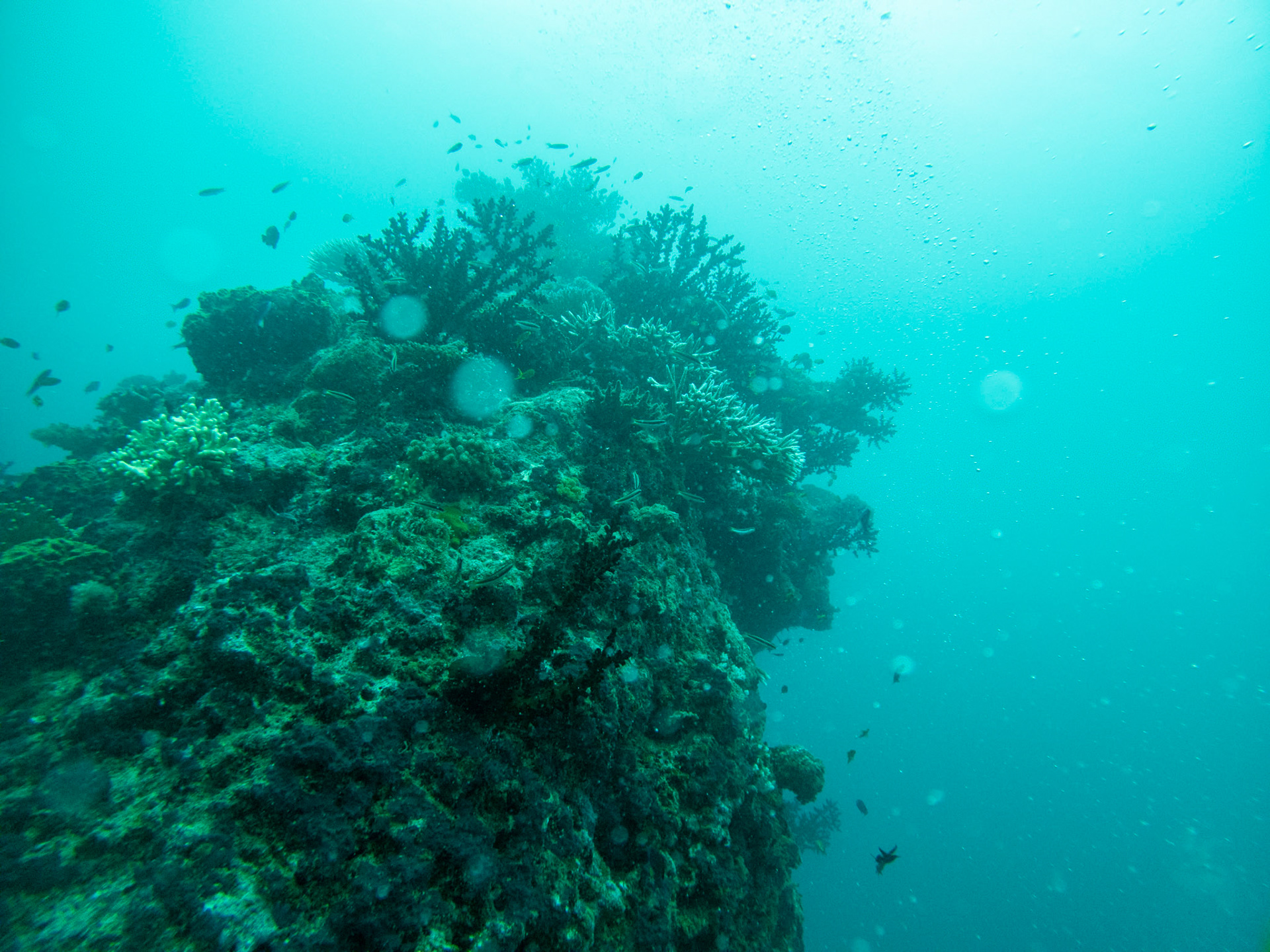 C:\DCIM\100GOPRO\GOPR0360.GPR