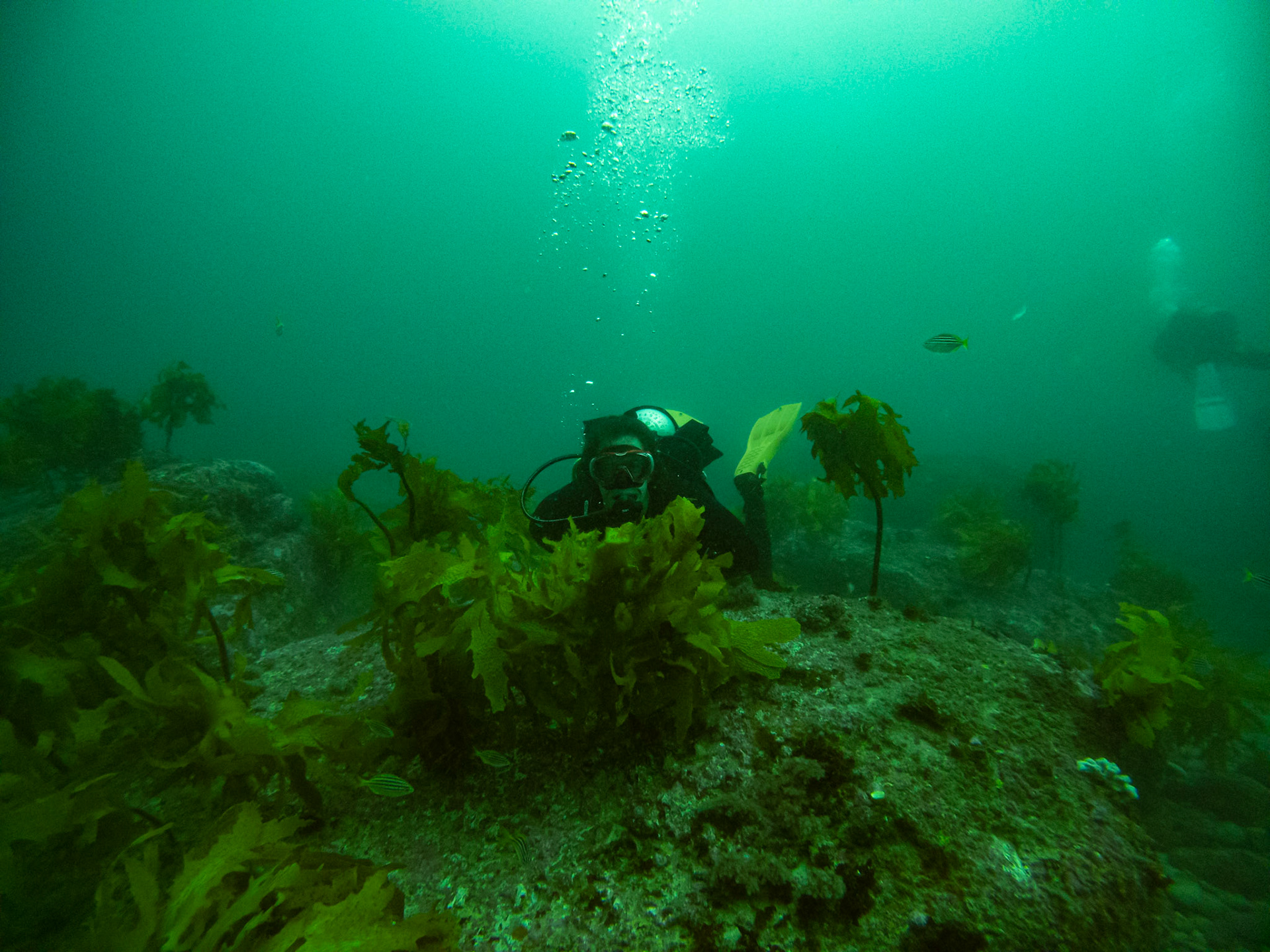 C:\DCIM\100GOPRO\GOPR0482.GPR