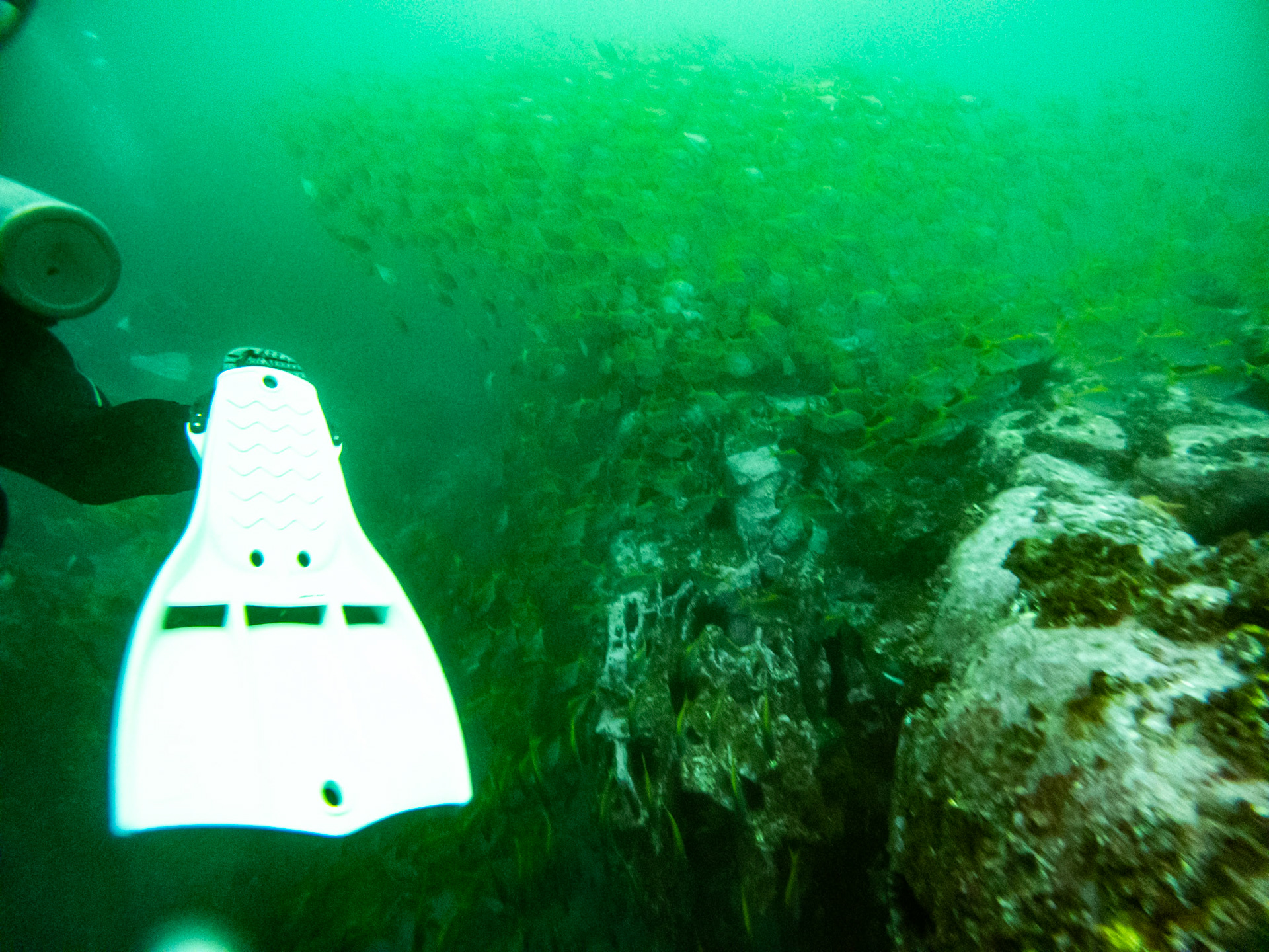 C:\DCIM\100GOPRO\GOPR0420.GPR