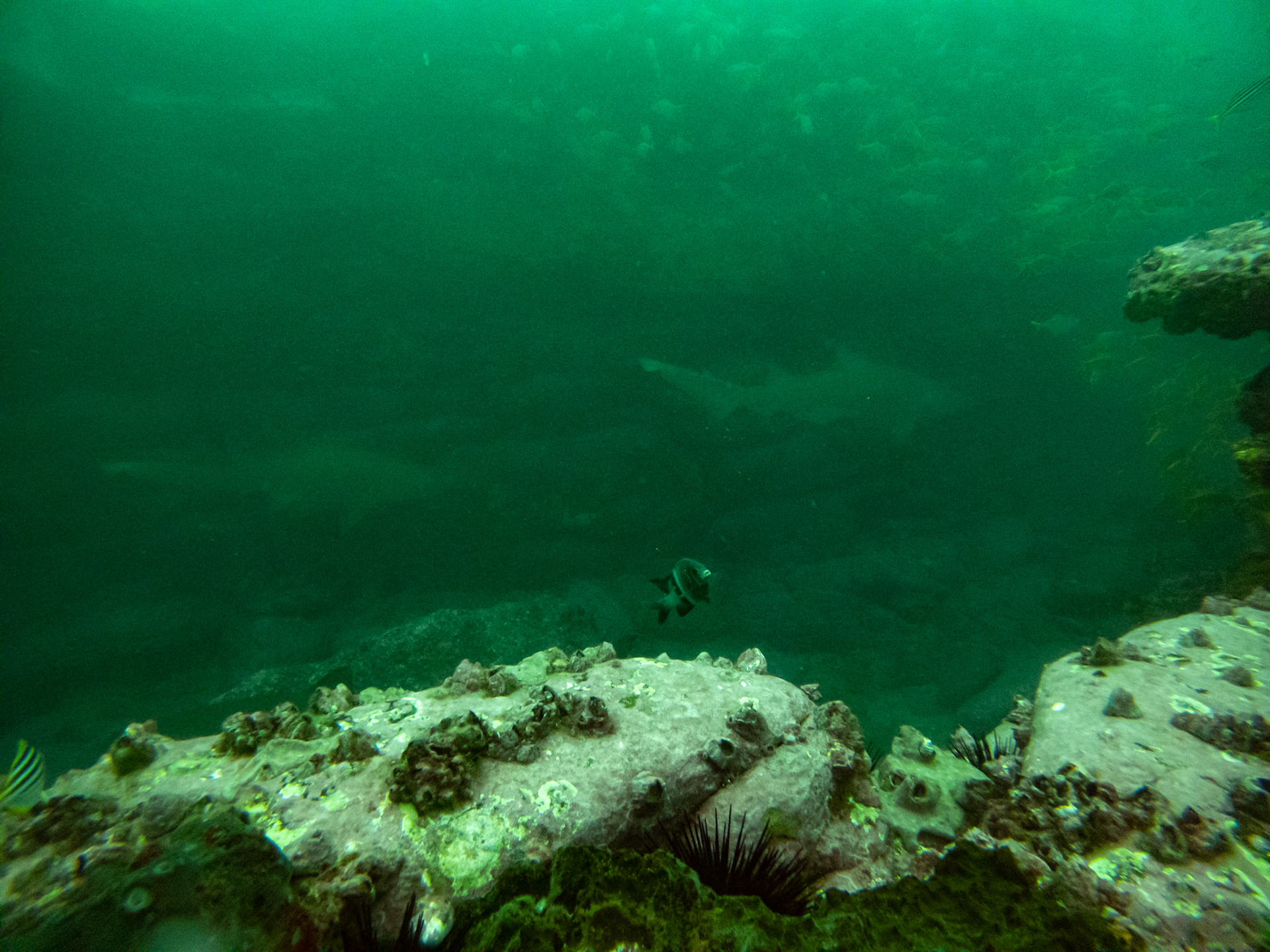 C:\DCIM\100GOPRO\GOPR0439.GPR