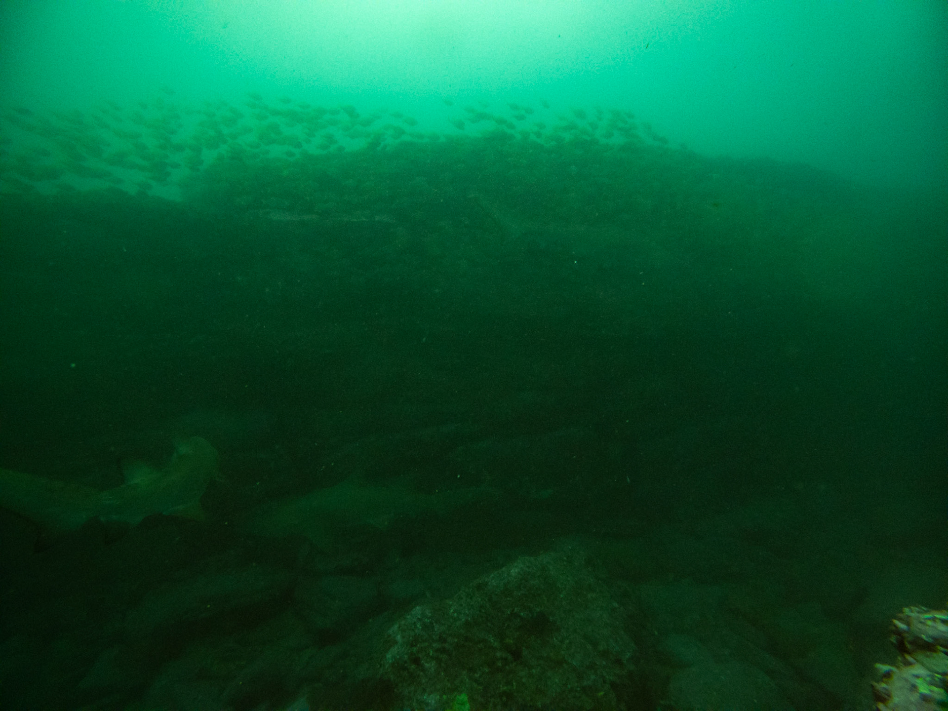 C:\DCIM\100GOPRO\GOPR0445.GPR