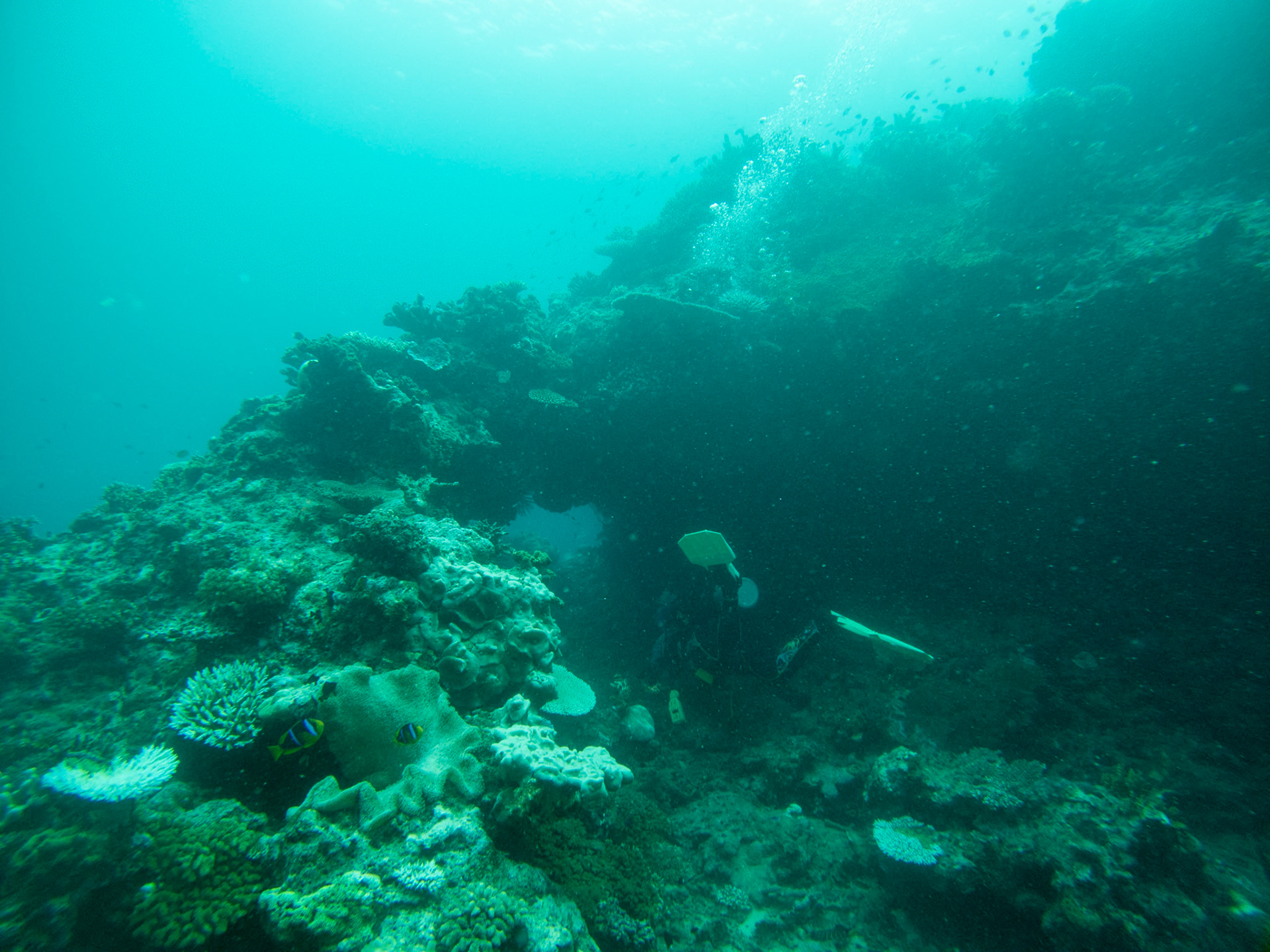 C:\DCIM\100GOPRO\GOPR0379.GPR