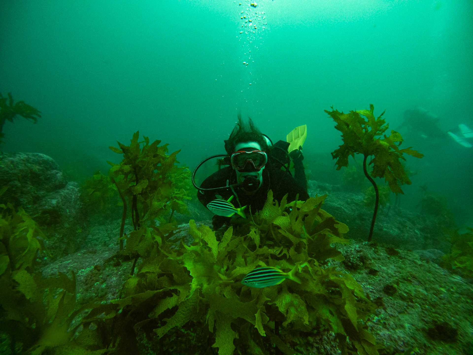 C:\DCIM\100GOPRO\GOPR0483.GPR