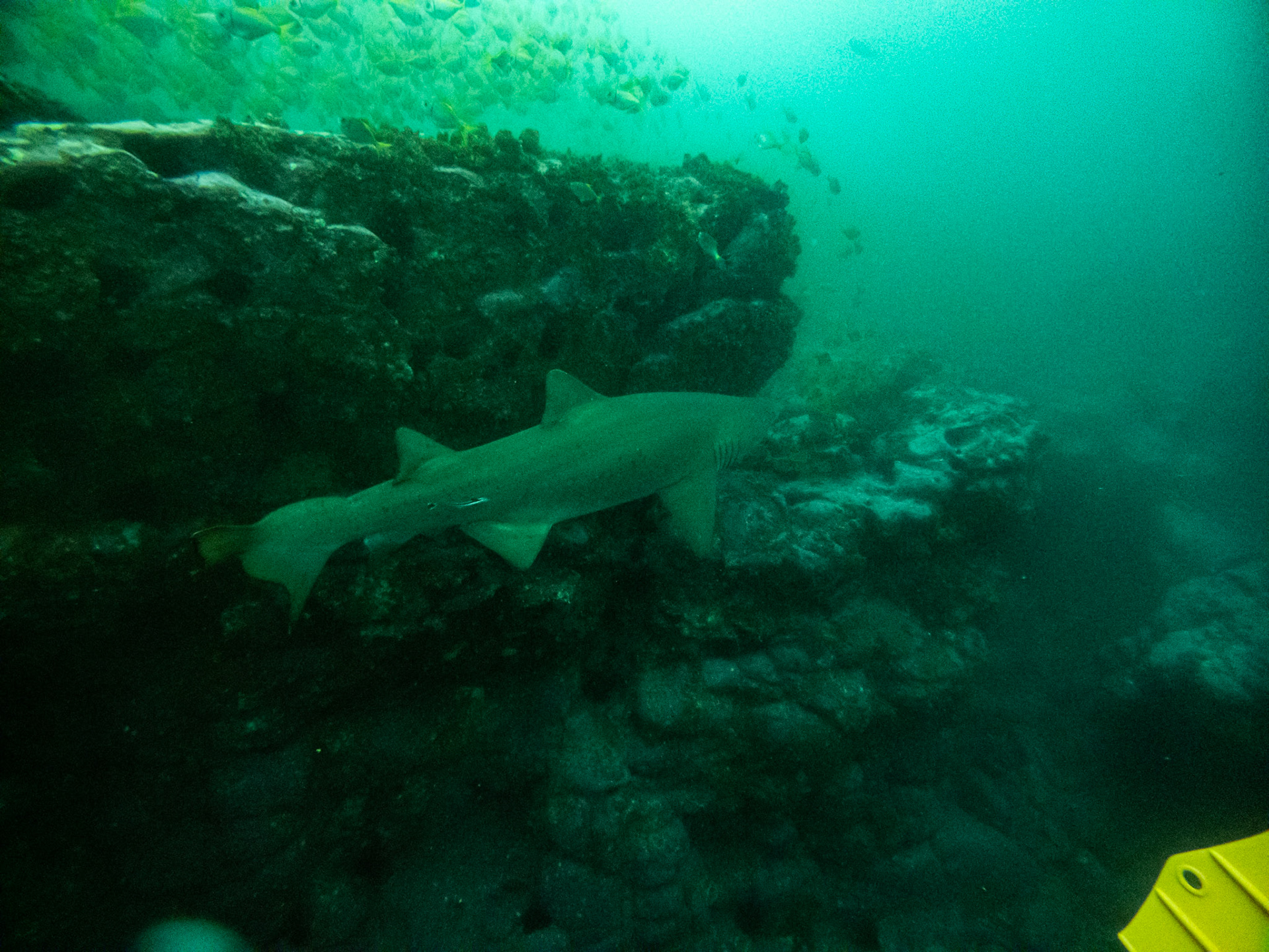 C:\DCIM\100GOPRO\GOPR0424.GPR