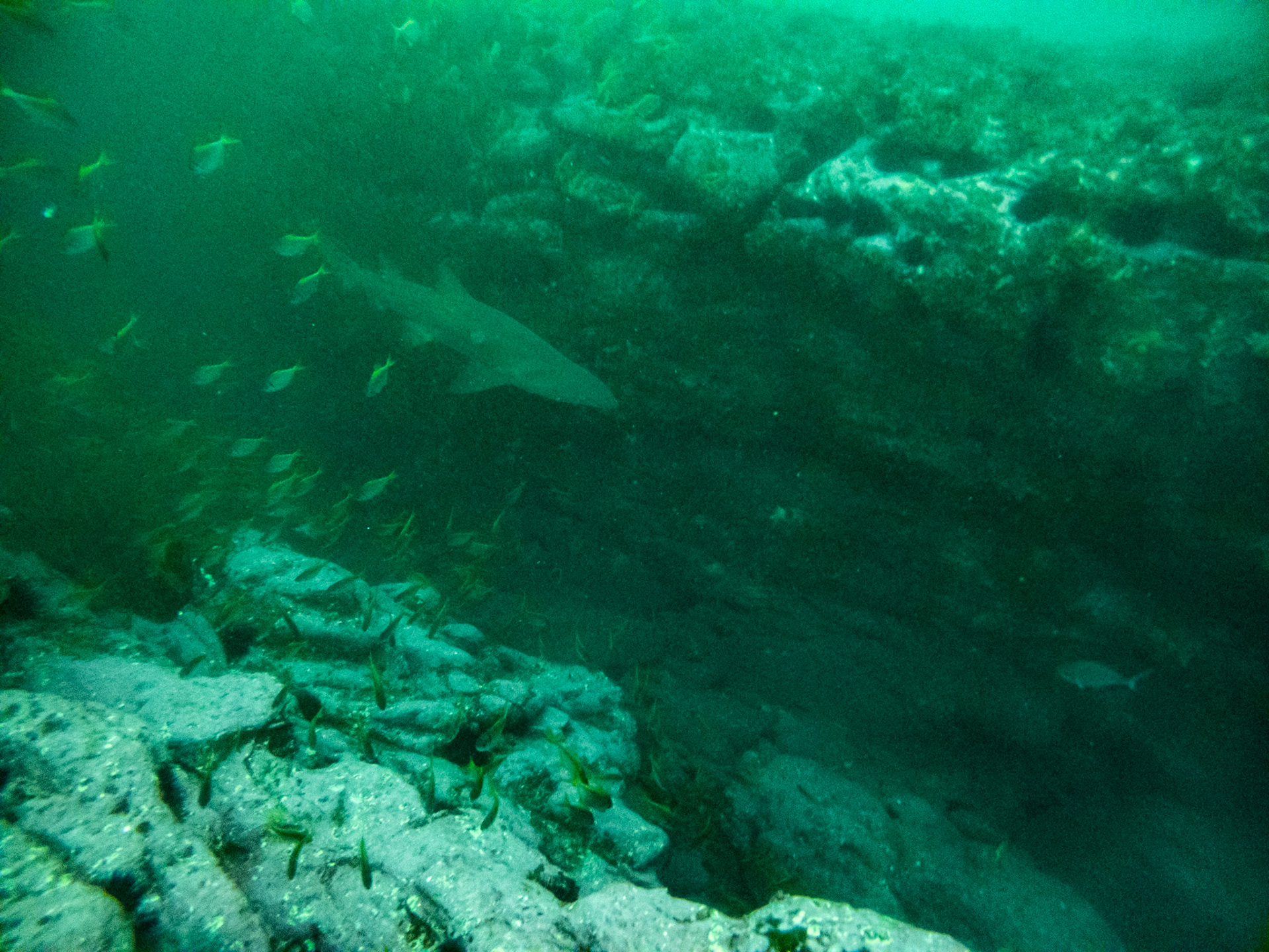 C:\DCIM\100GOPRO\GOPR0425.GPR