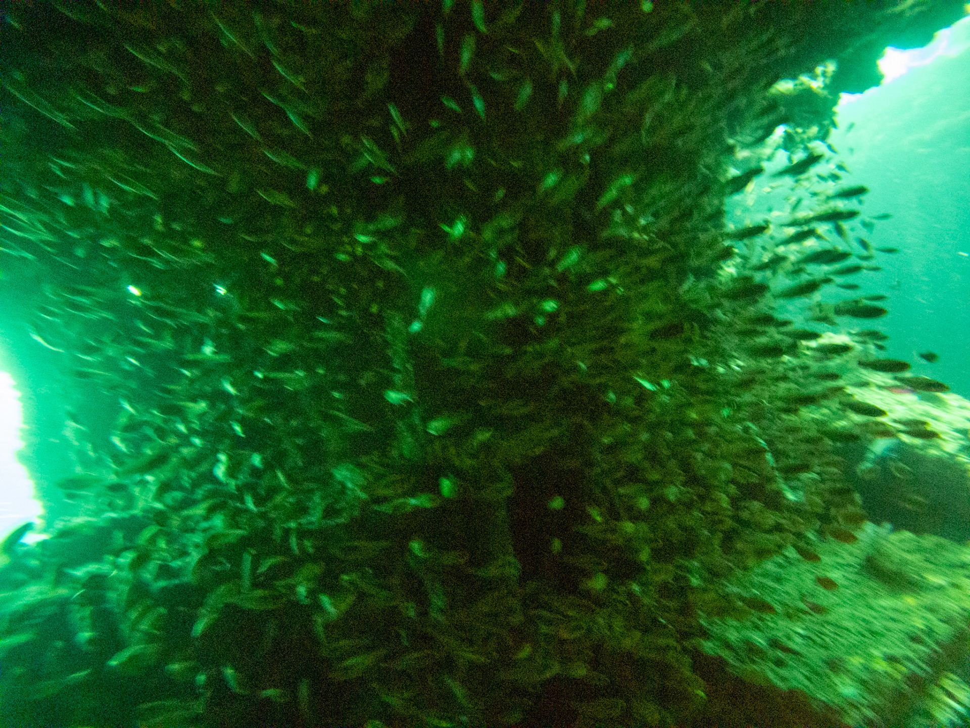 C:\DCIM\100GOPRO\GOPR0590.GPR