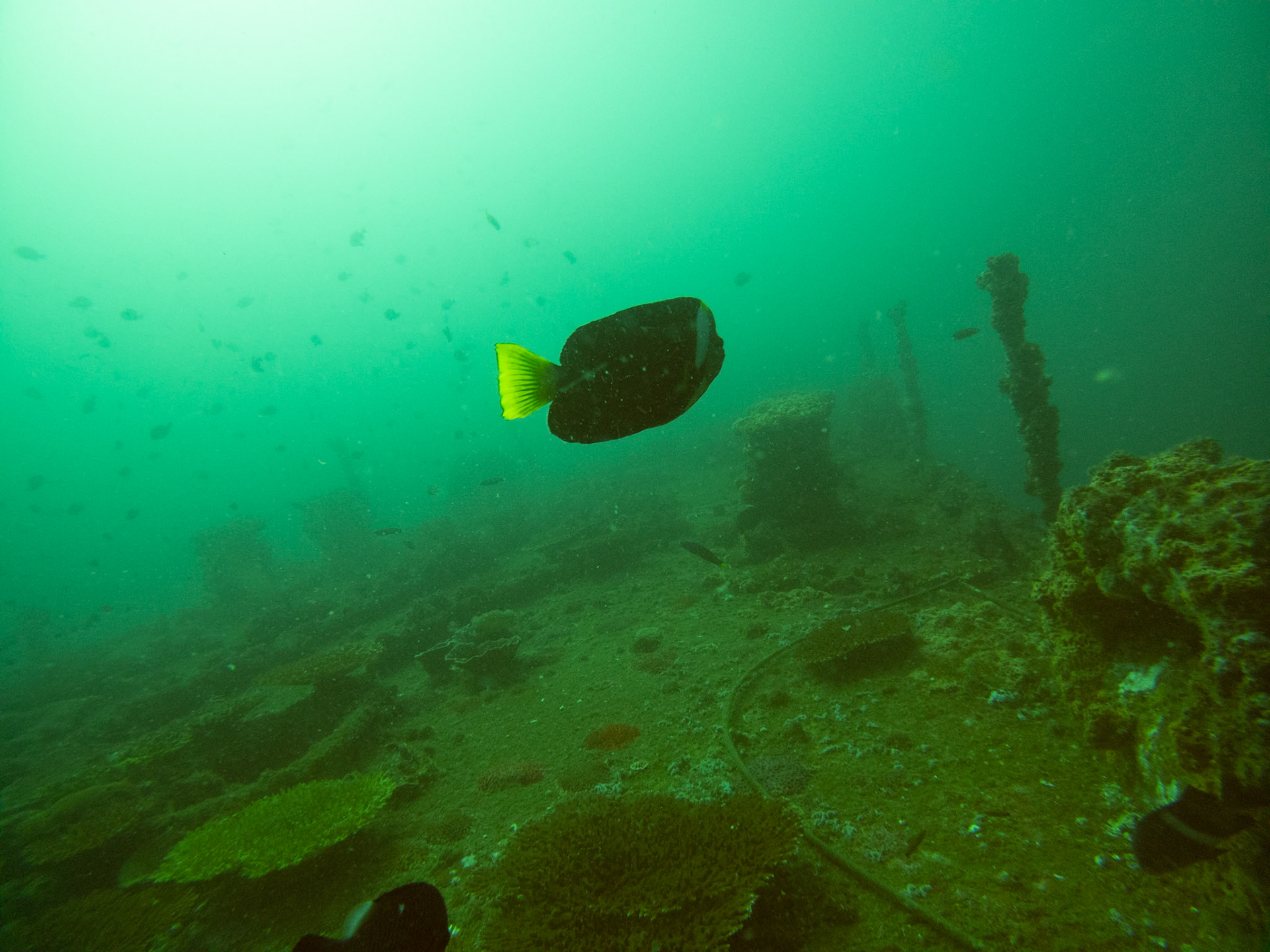 C:\DCIM\100GOPRO\GOPR0606.GPR