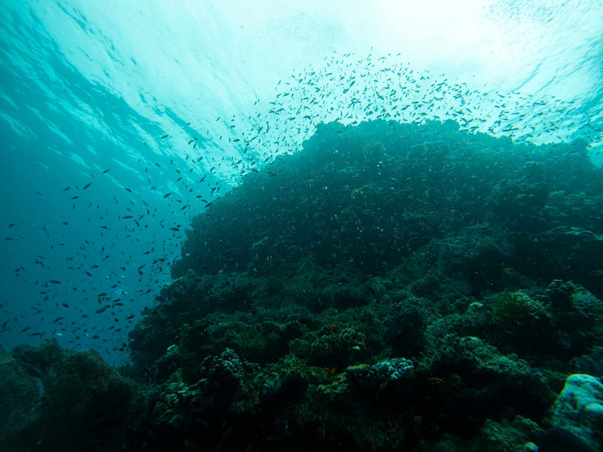 C:\DCIM\100GOPRO\GOPR0311.GPR