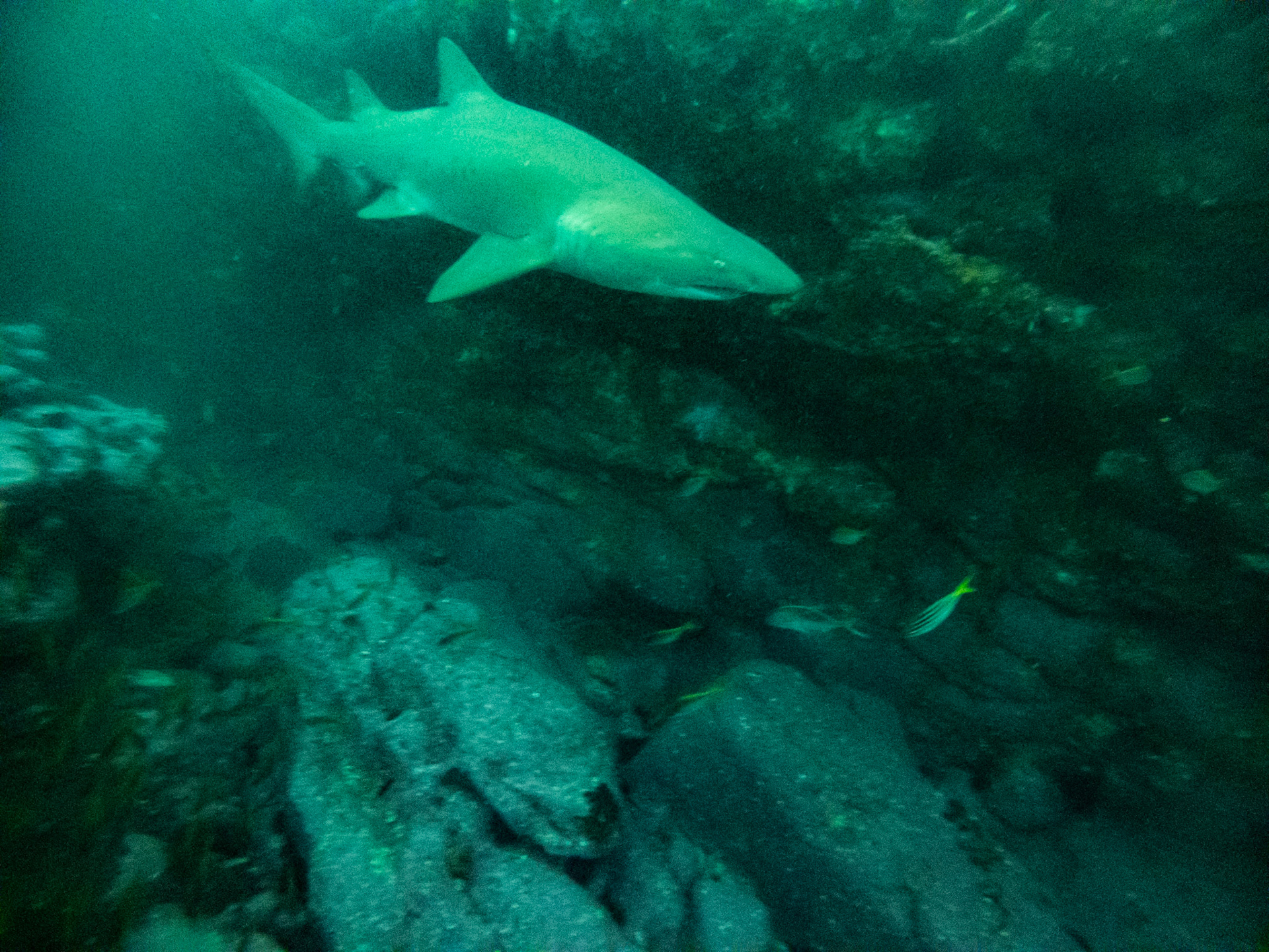 C:\DCIM\100GOPRO\GOPR0422.GPR