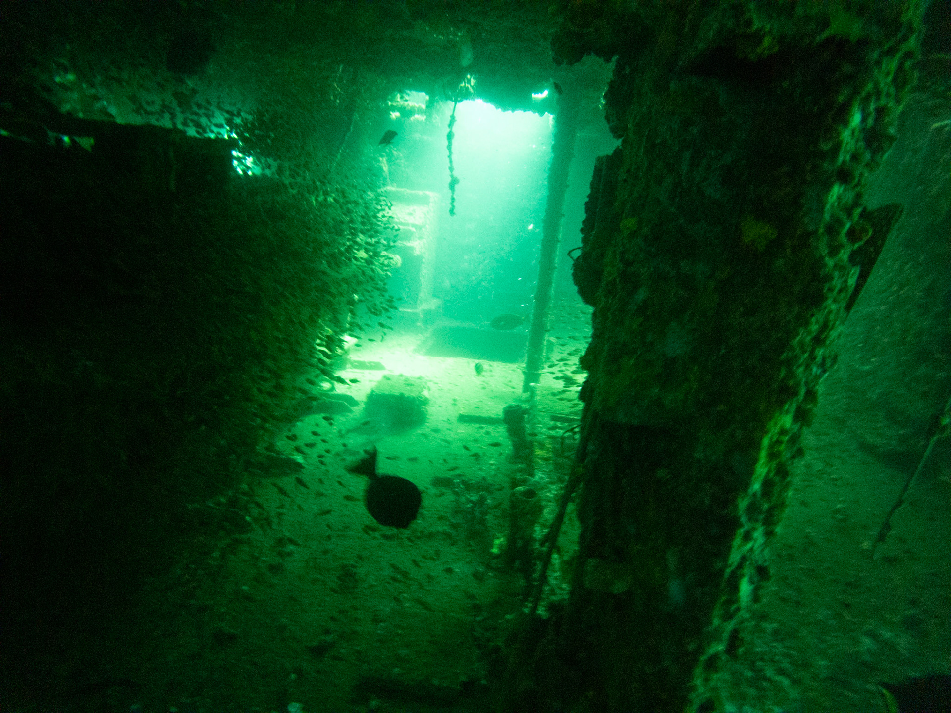 C:\DCIM\100GOPRO\GOPR0581.GPR