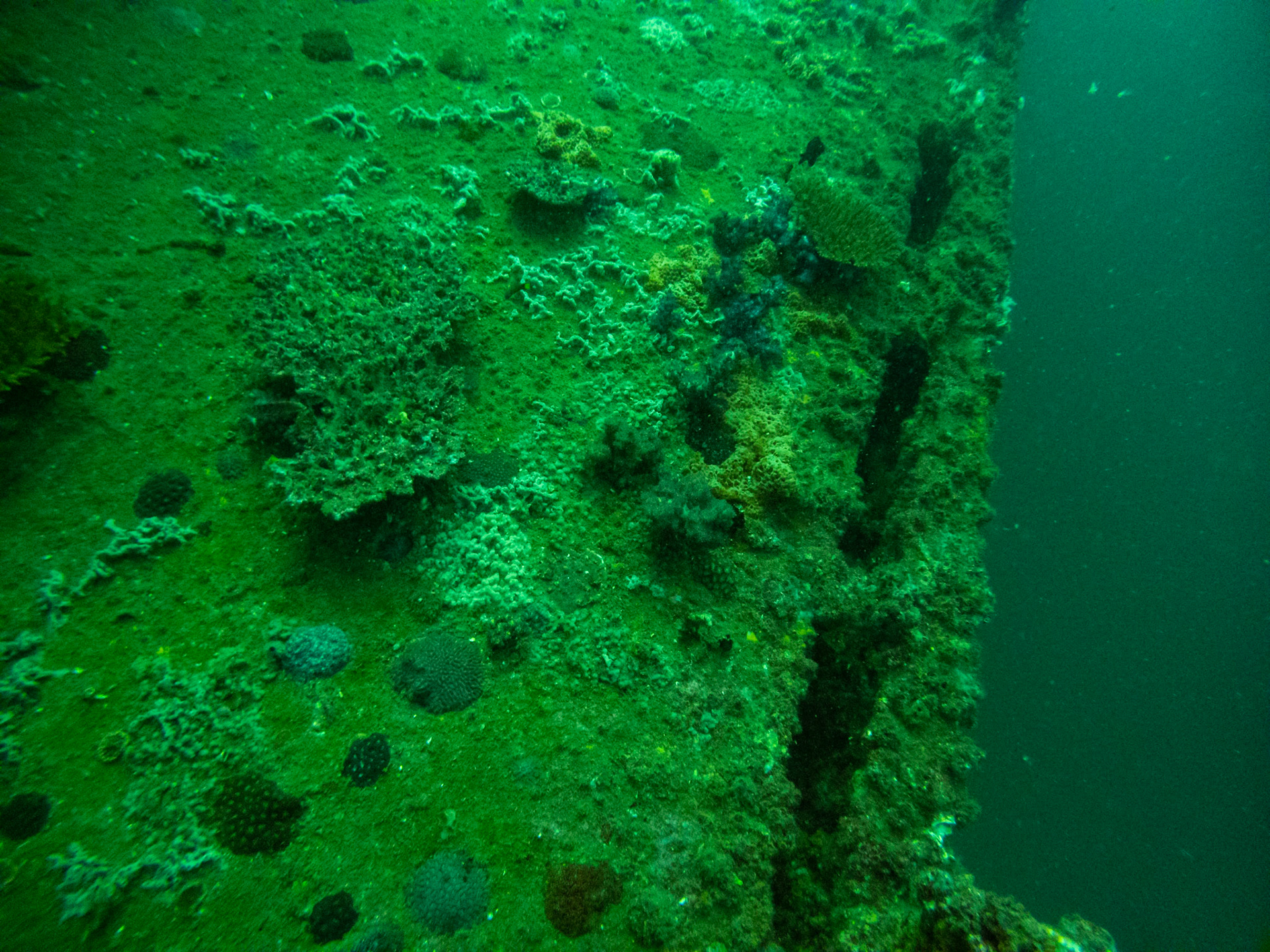 C:\DCIM\100GOPRO\GOPR0529.GPR