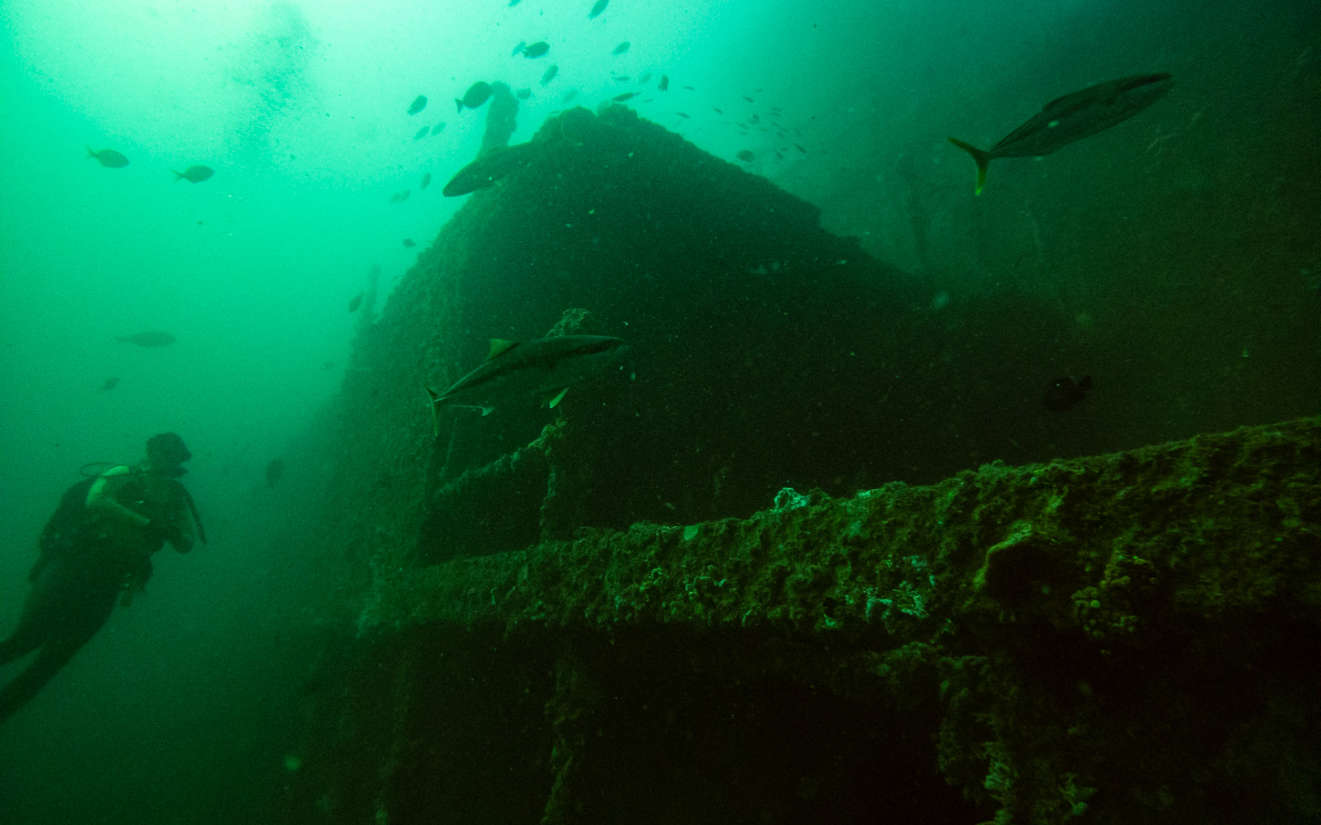 C:\DCIM\100GOPRO\GOPR0516.GPR