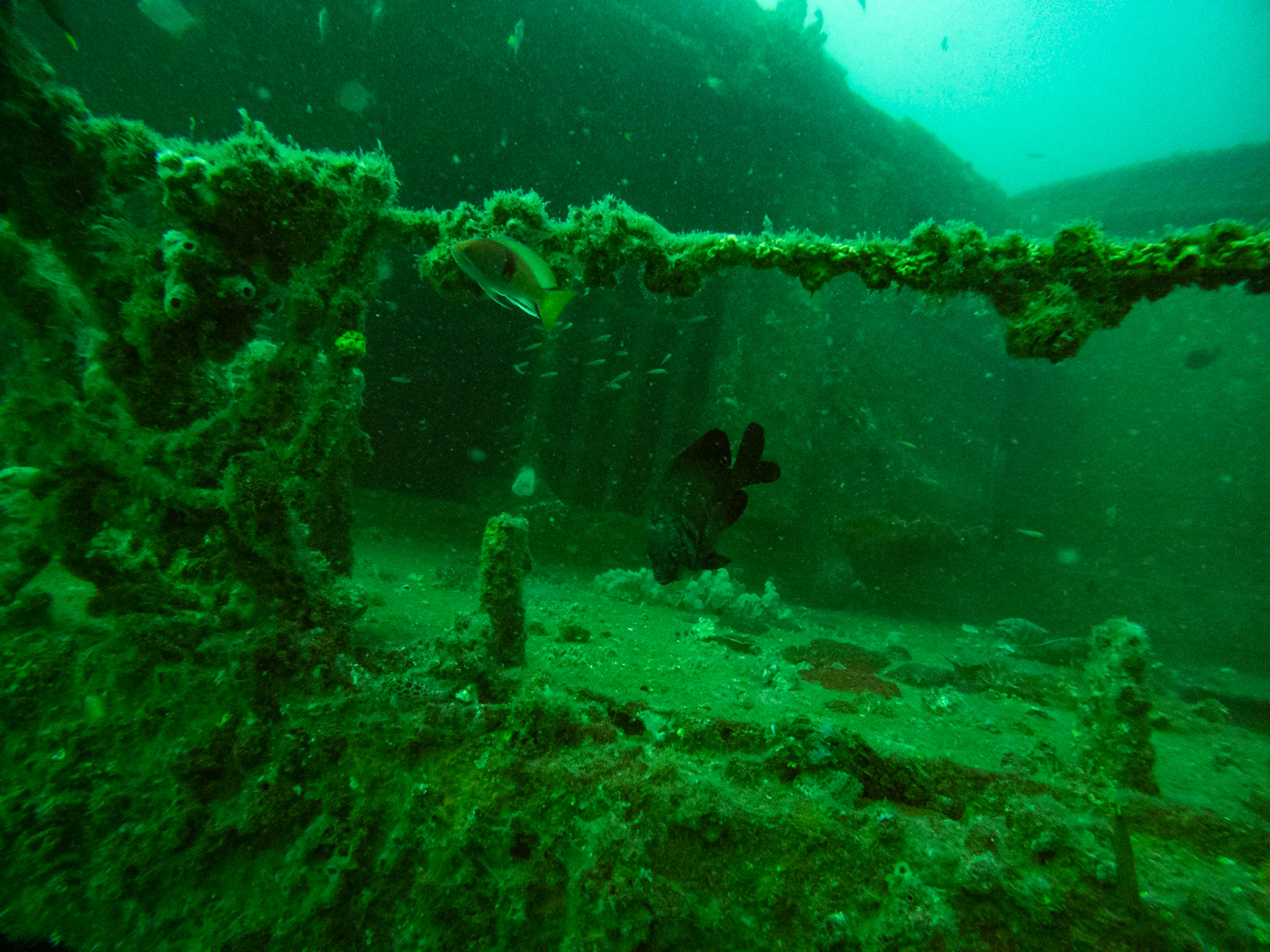 C:\DCIM\100GOPRO\GOPR0507.GPR