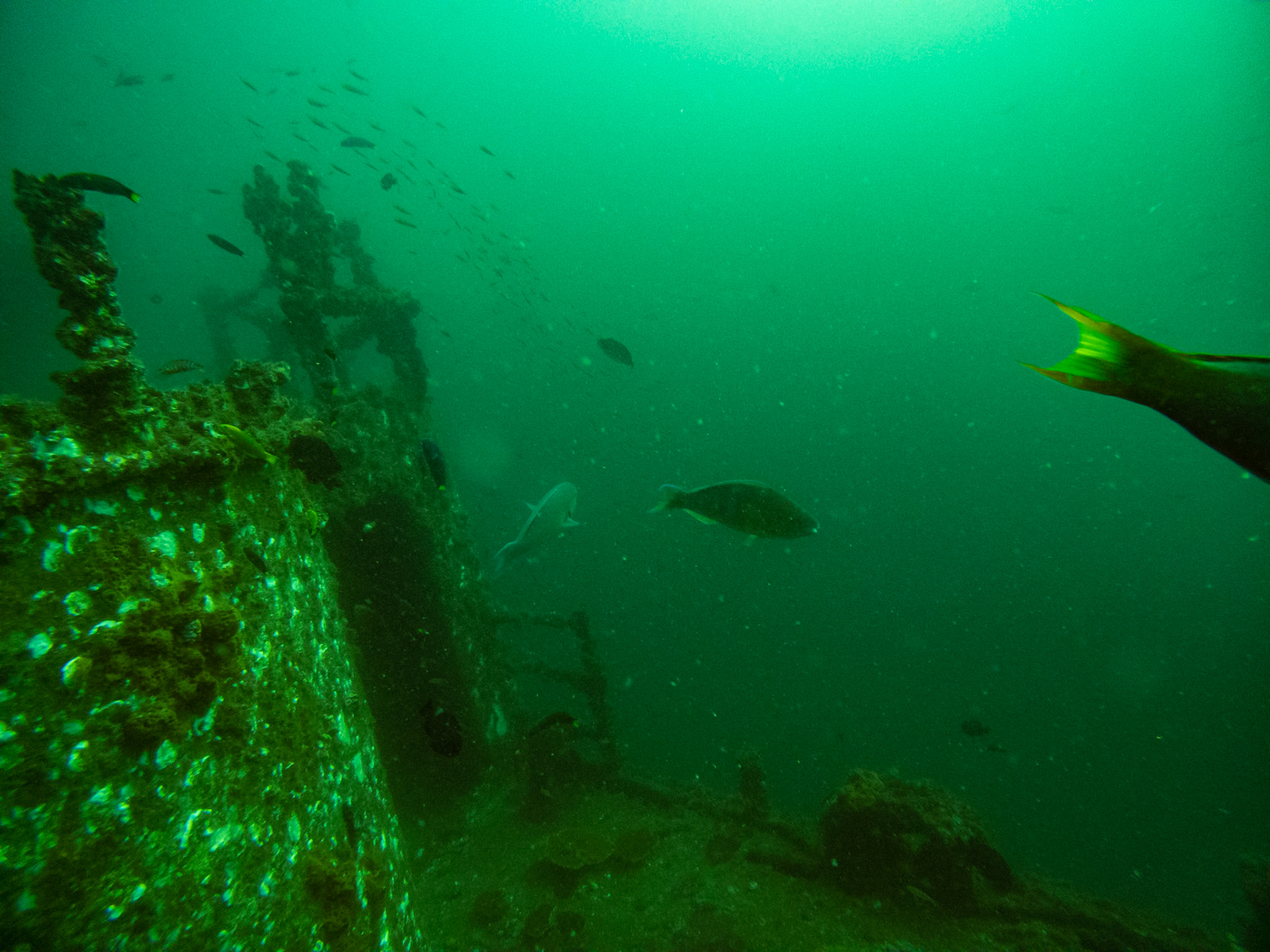 C:\DCIM\100GOPRO\GOPR0600.GPR