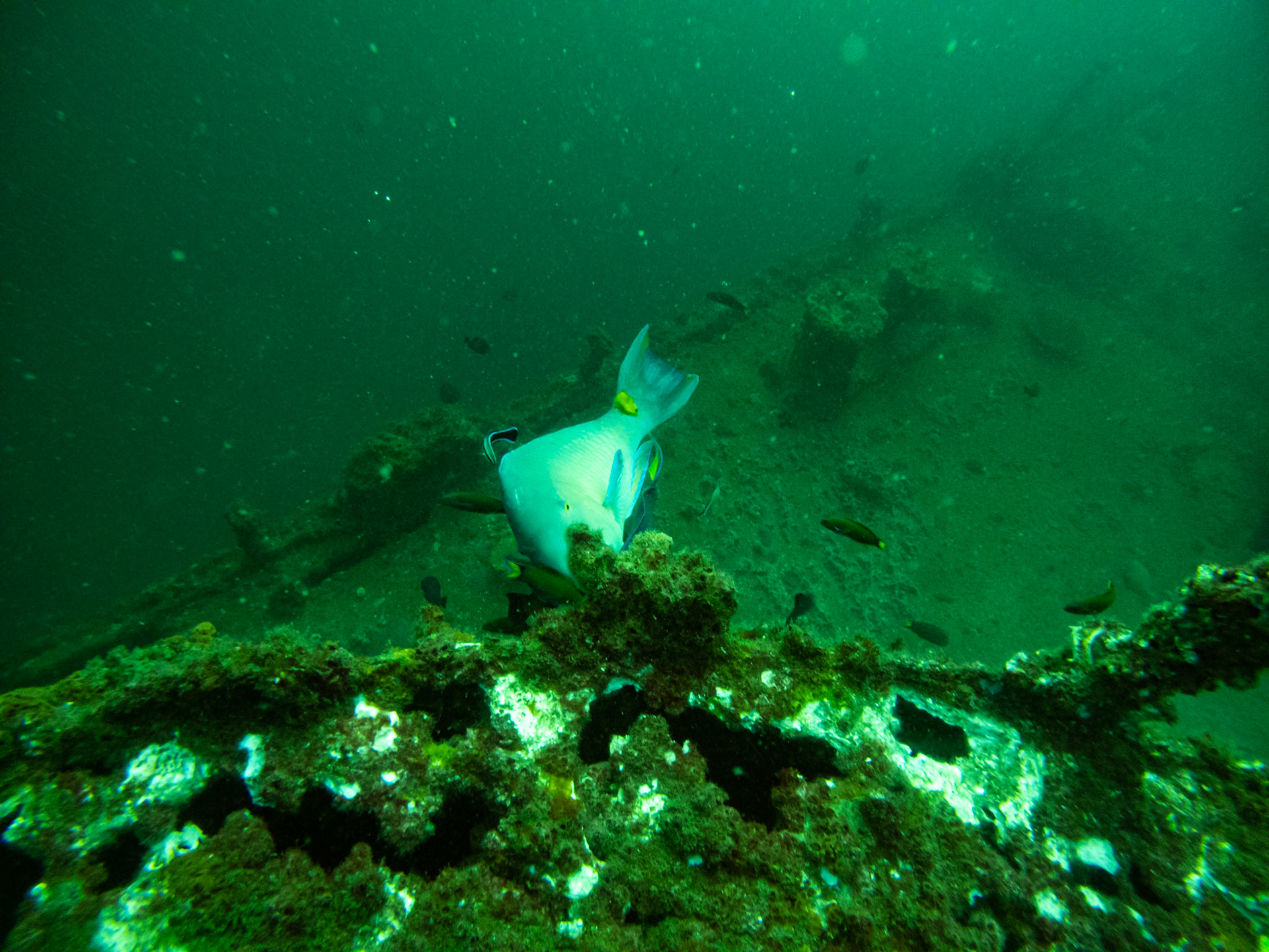 C:\DCIM\100GOPRO\GOPR0528.GPR