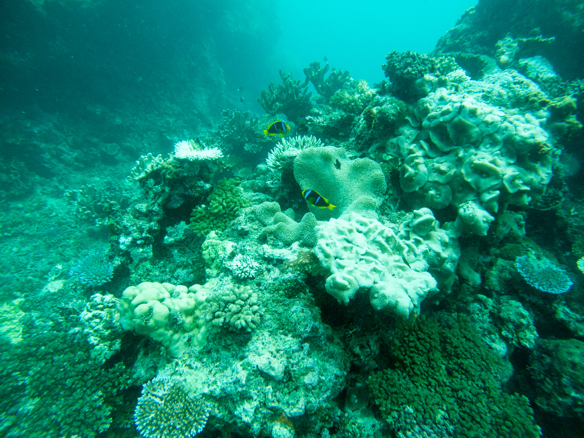 C:\DCIM\100GOPRO\GOPR0377.GPR