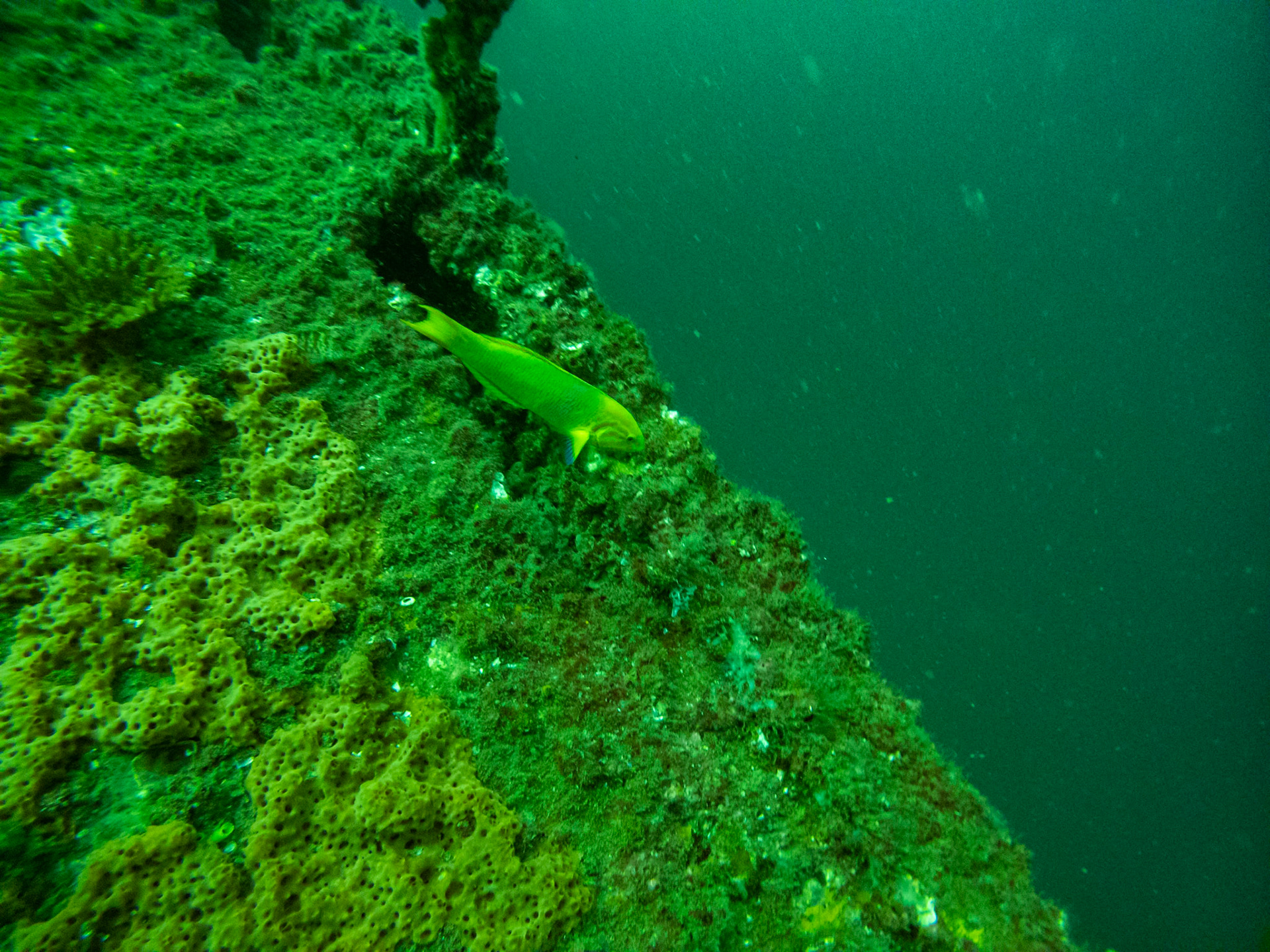 C:\DCIM\100GOPRO\GOPR0532.GPR