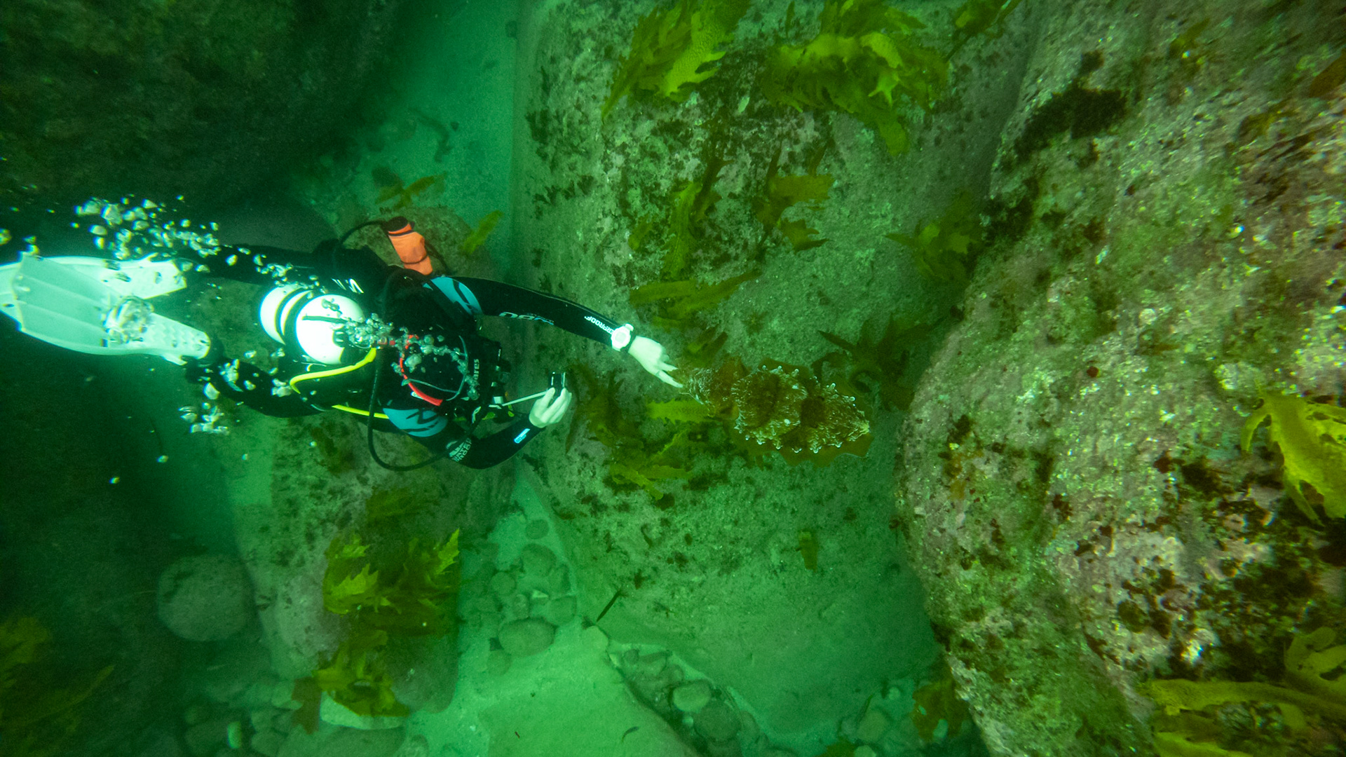 C:\DCIM\100GOPRO\GOPR0468.GPR